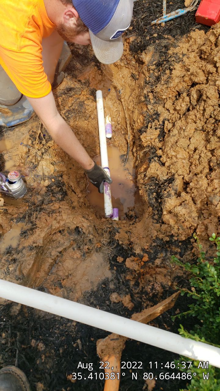 Harris Teeter Fuel Station Project Concord NC - (Commercial) by Carolina-Metro Landscape, Inc