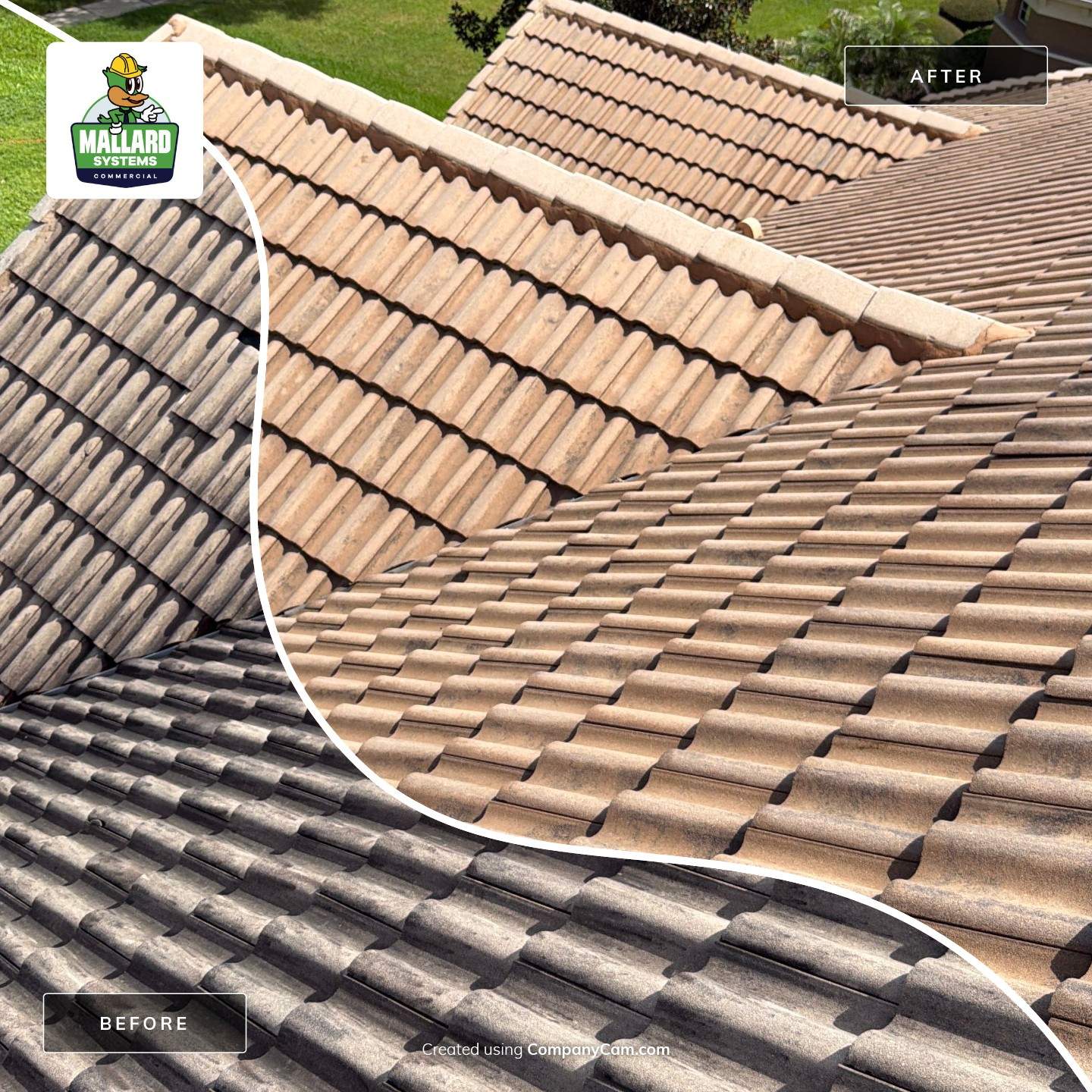 Residential Tile Roof Cleaning in Windermere by Mallard Systems