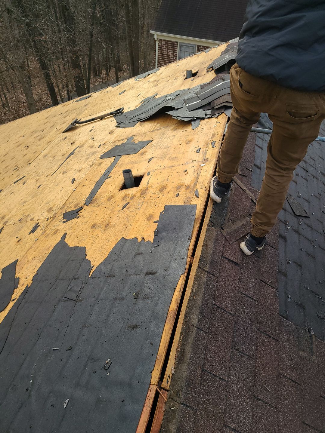 Burke CertainTeed Landmark Pro Roof in Max Def Espresso by RM Banning, Inc.