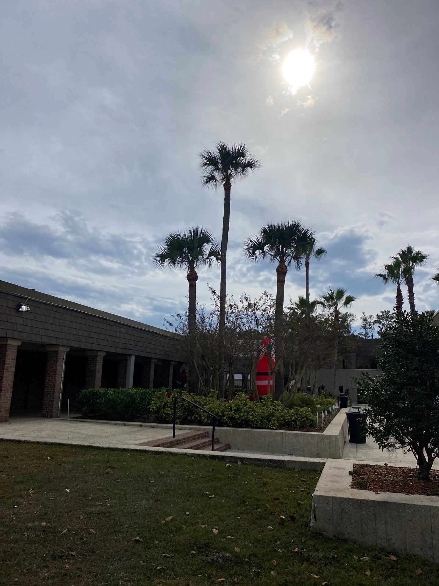 Volunteer Work | Episcopal High School of Jacksonville by ProGreen Services