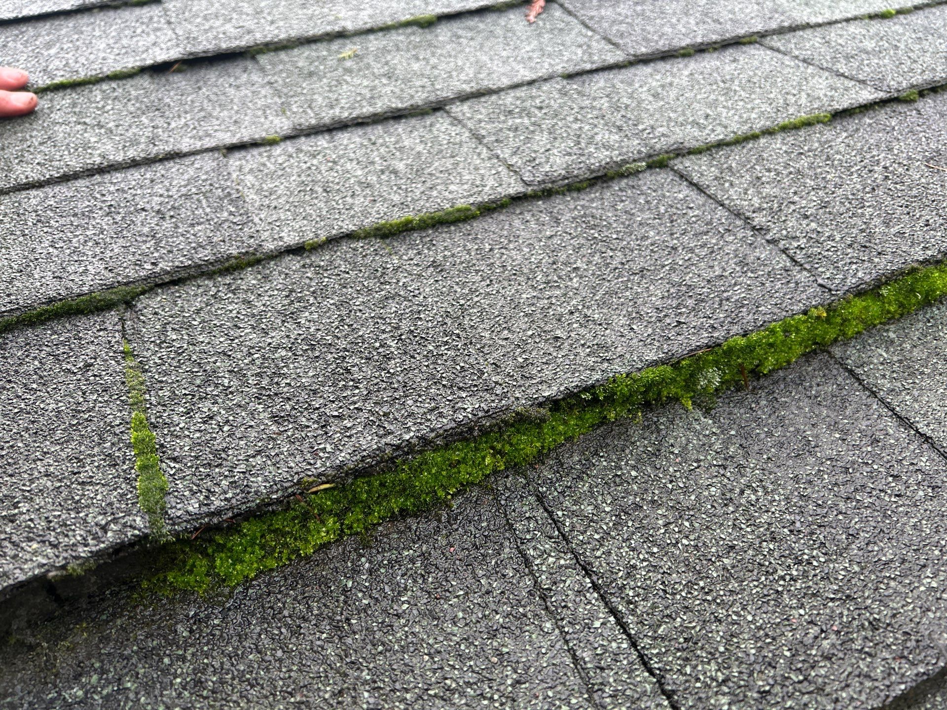 Project in Snohomish by Connolly Construction Company