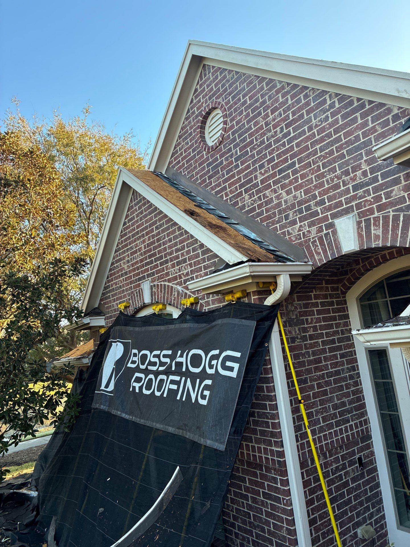 LYNA L by Boss Hogg Roofing