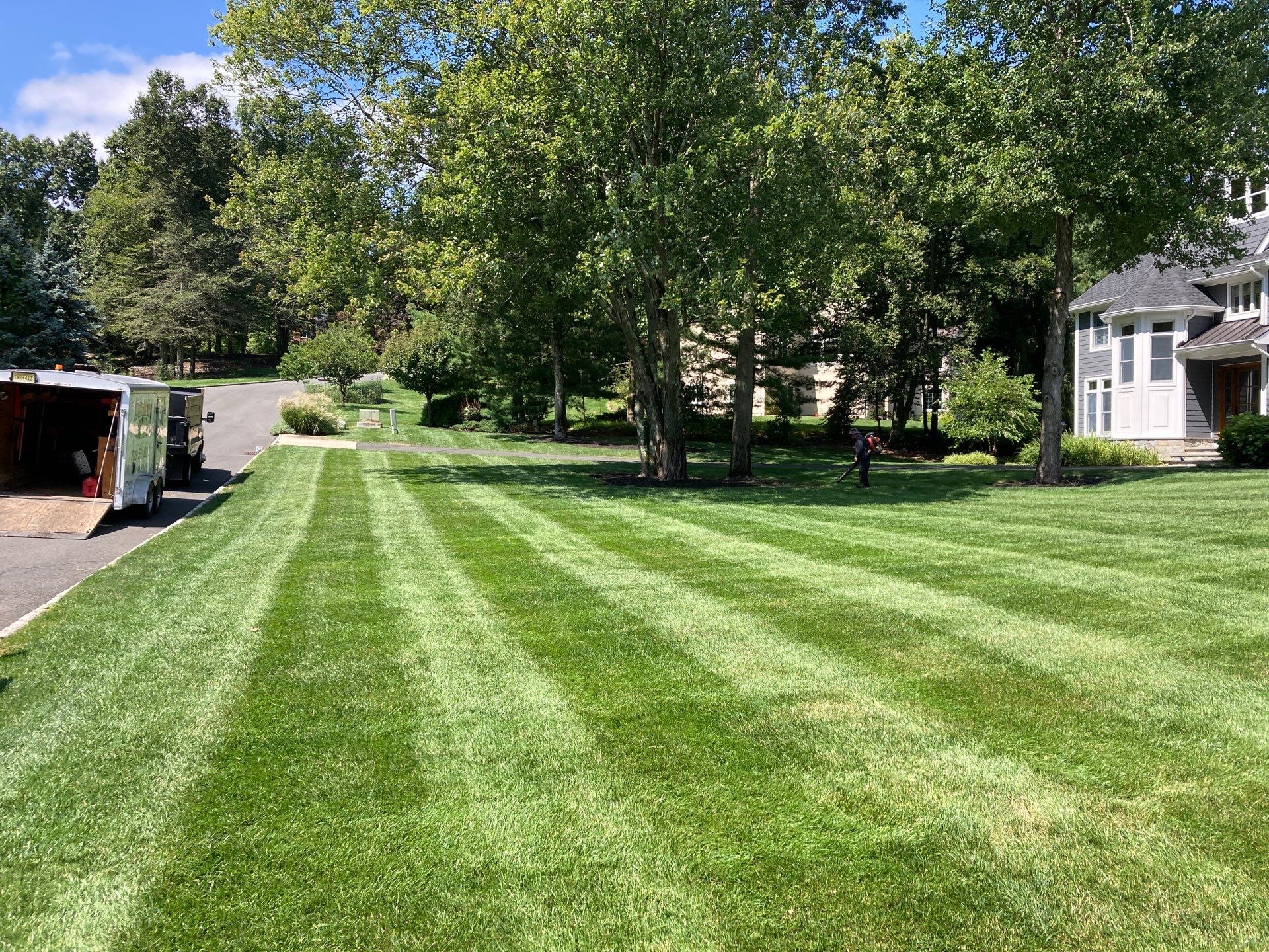 Comprehensive Lawn Care in Warren by Ants Plants