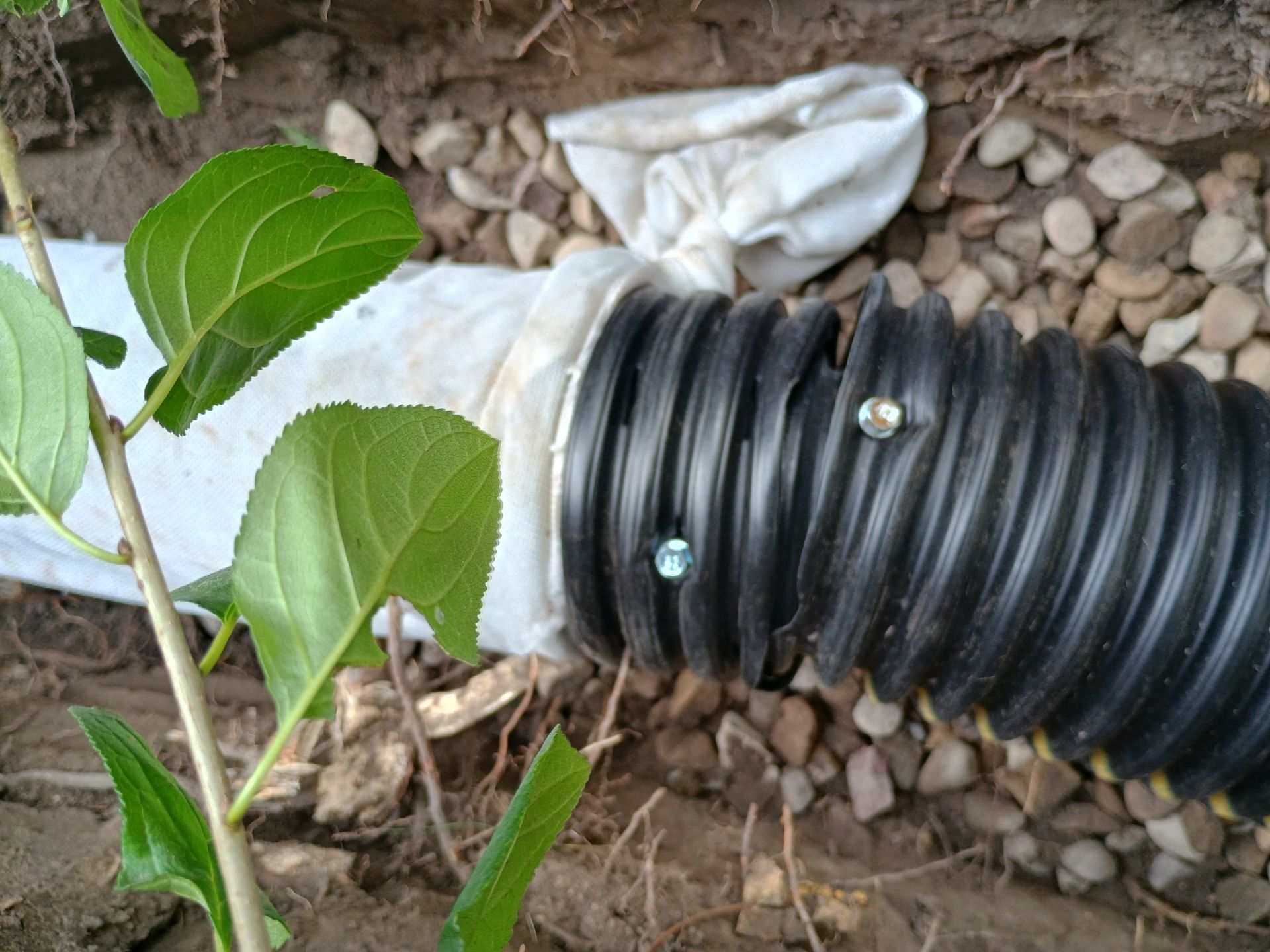 A French Drain for Maya by Waterproofing Northeast