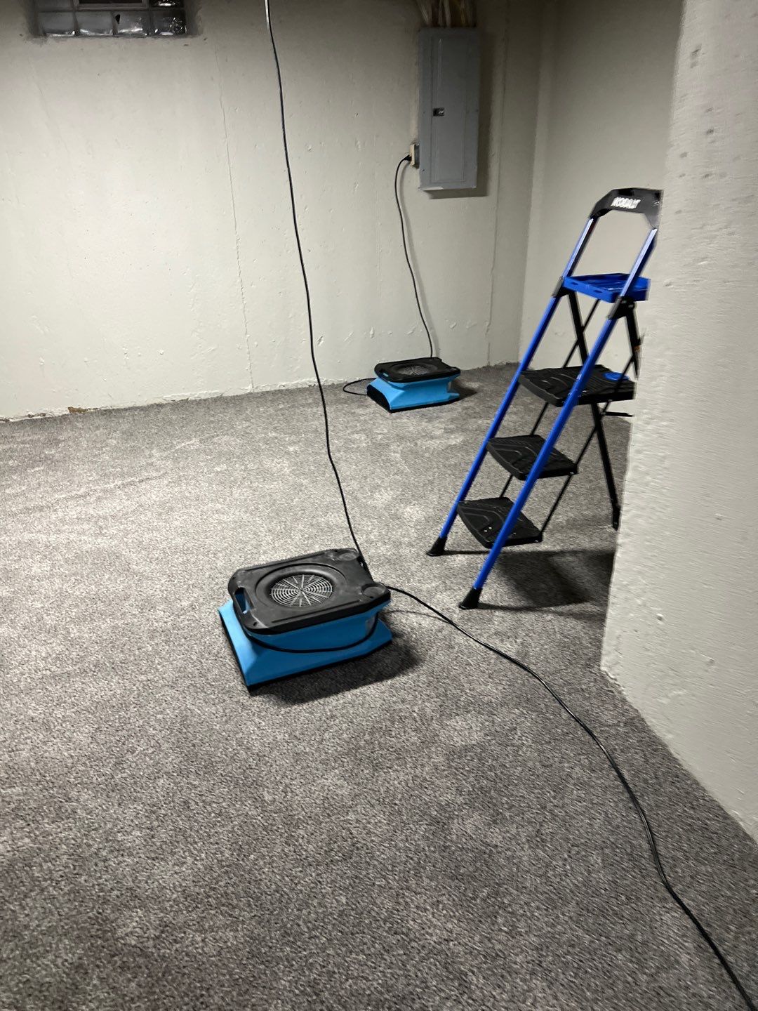 Project in Commerce Charter Twp by EzDry Water Mitigation & Property Restoration