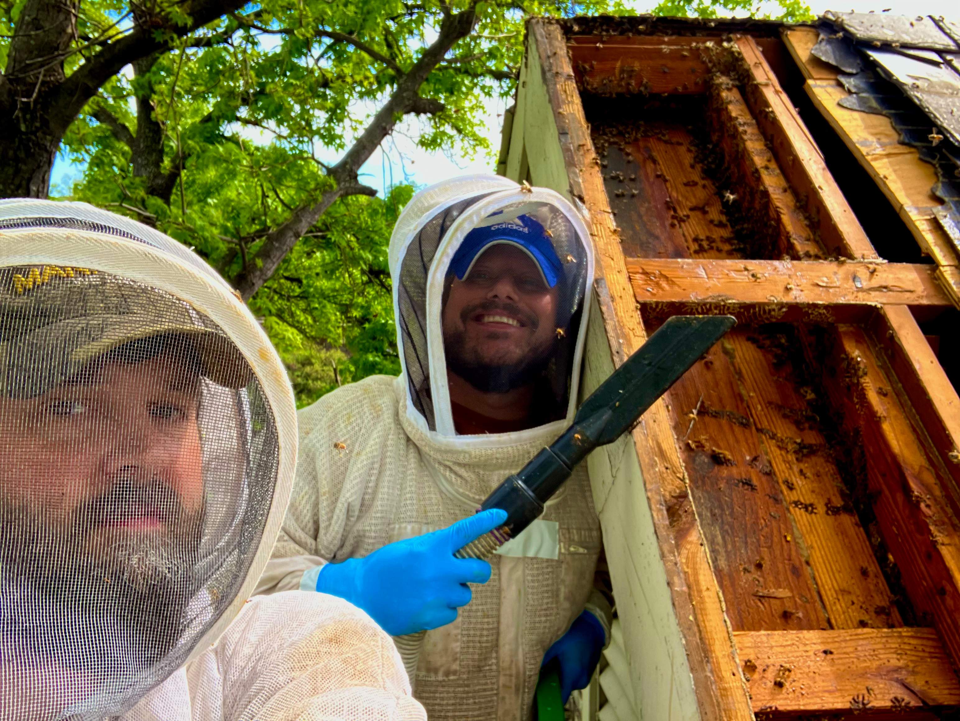 Commercial Roof by Rockwall Honey Bee Company