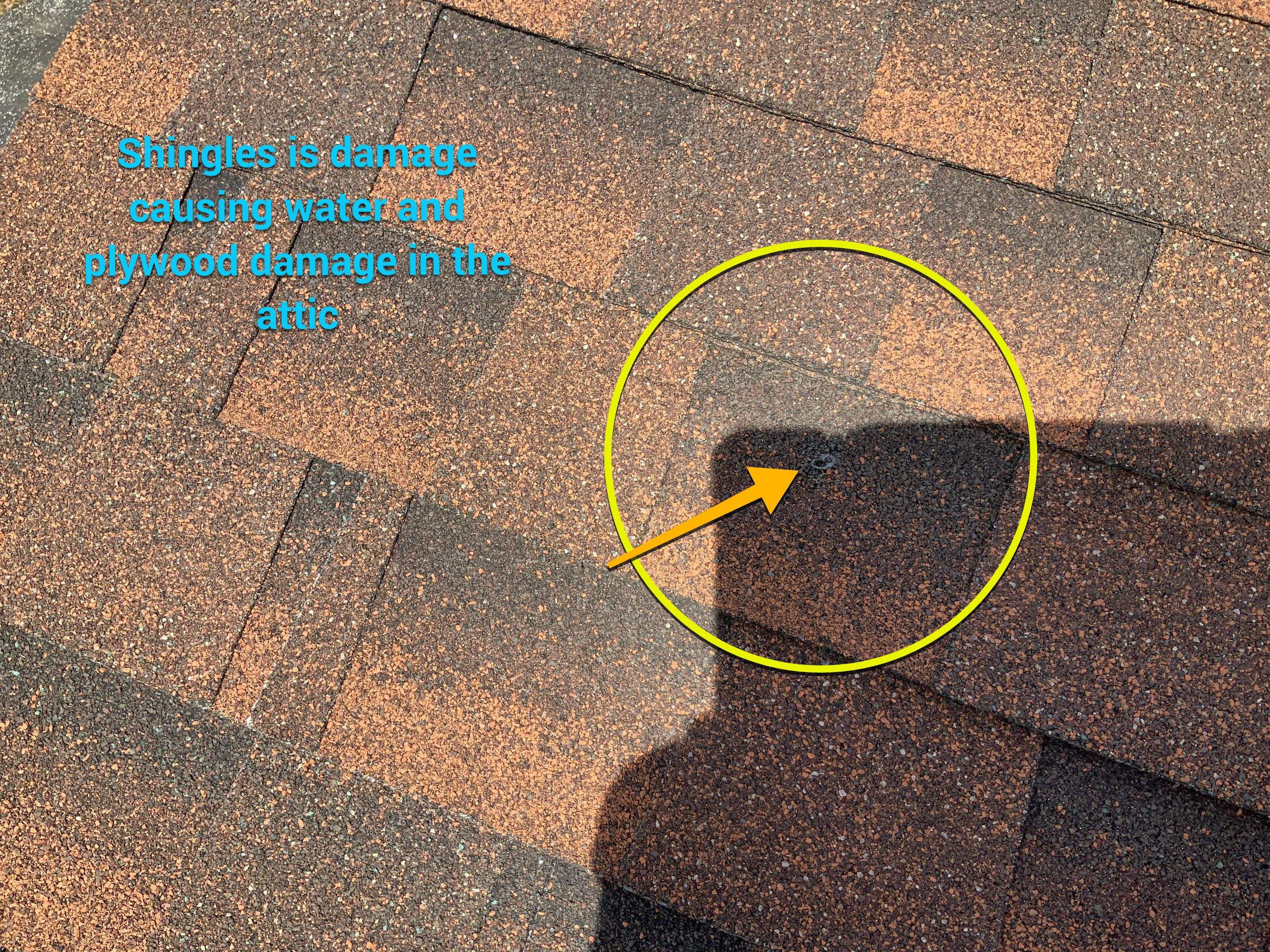 Residential Roofing Repair using Ridge Vent  by Alpha Design Services