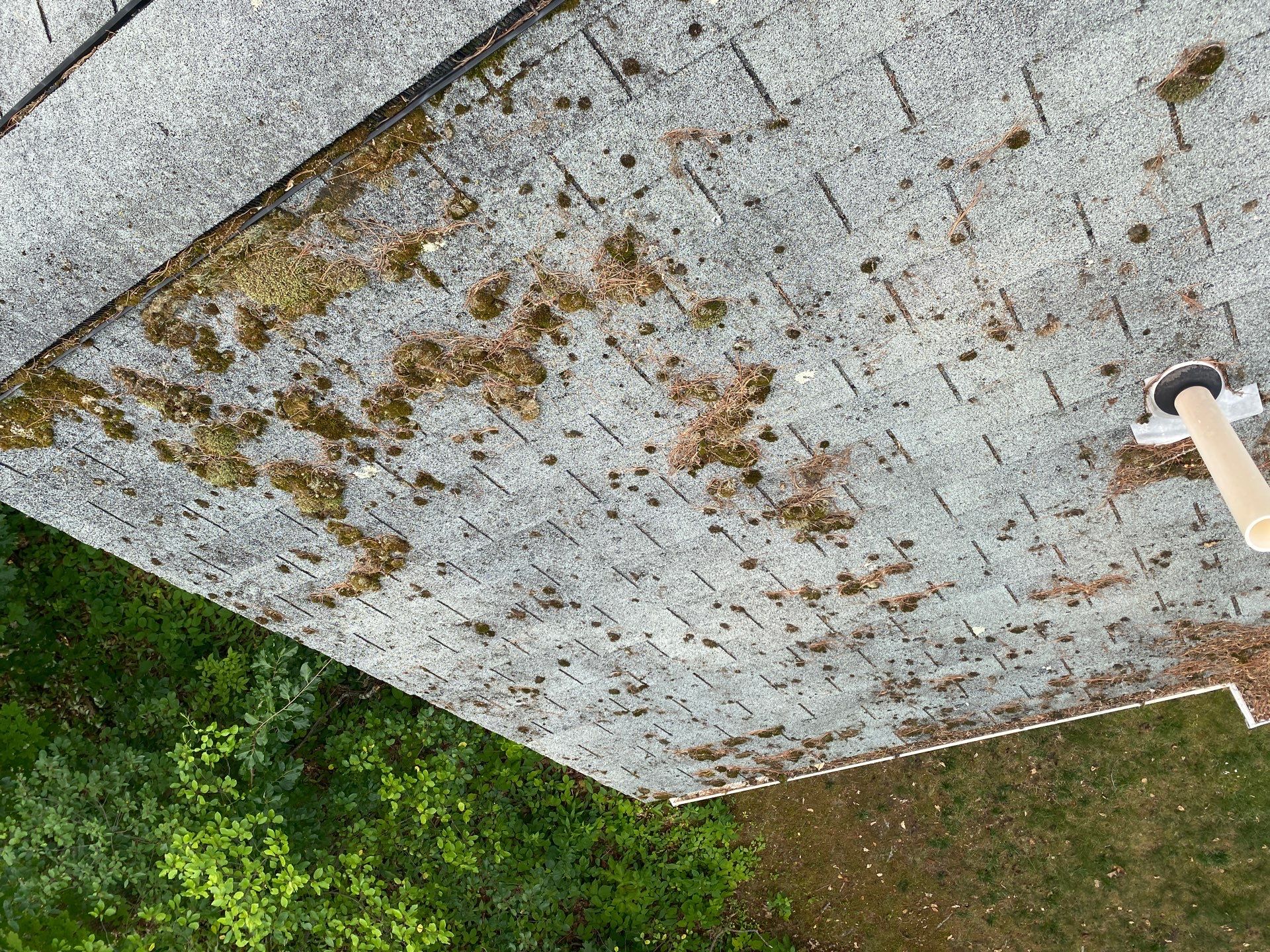 Roof, Trim & Chimney Restoration – Chelmsford, MA by Mighty Dog Roofing of Greater Middlesex County