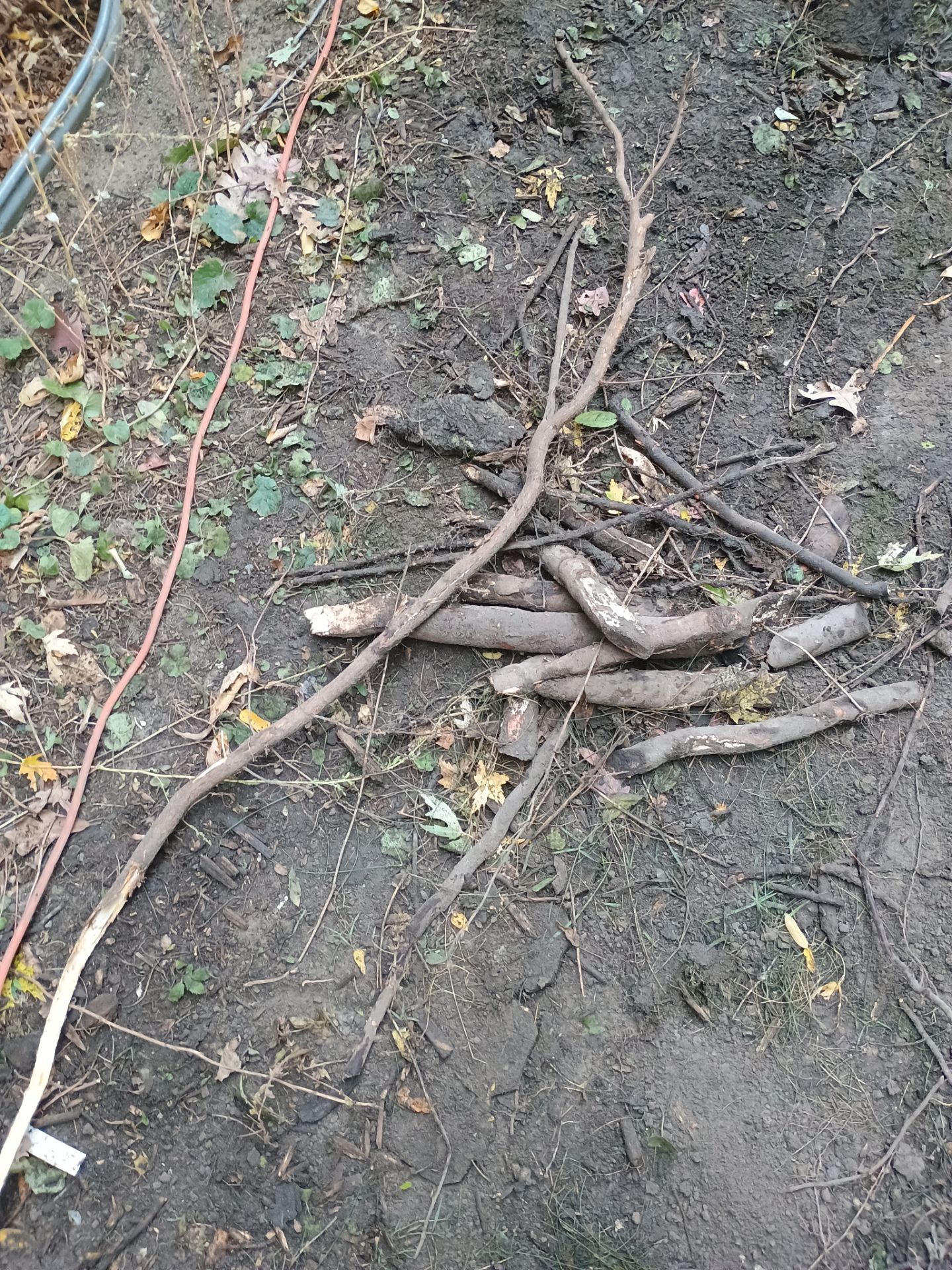 A French Drain for Maya by Waterproofing Northeast