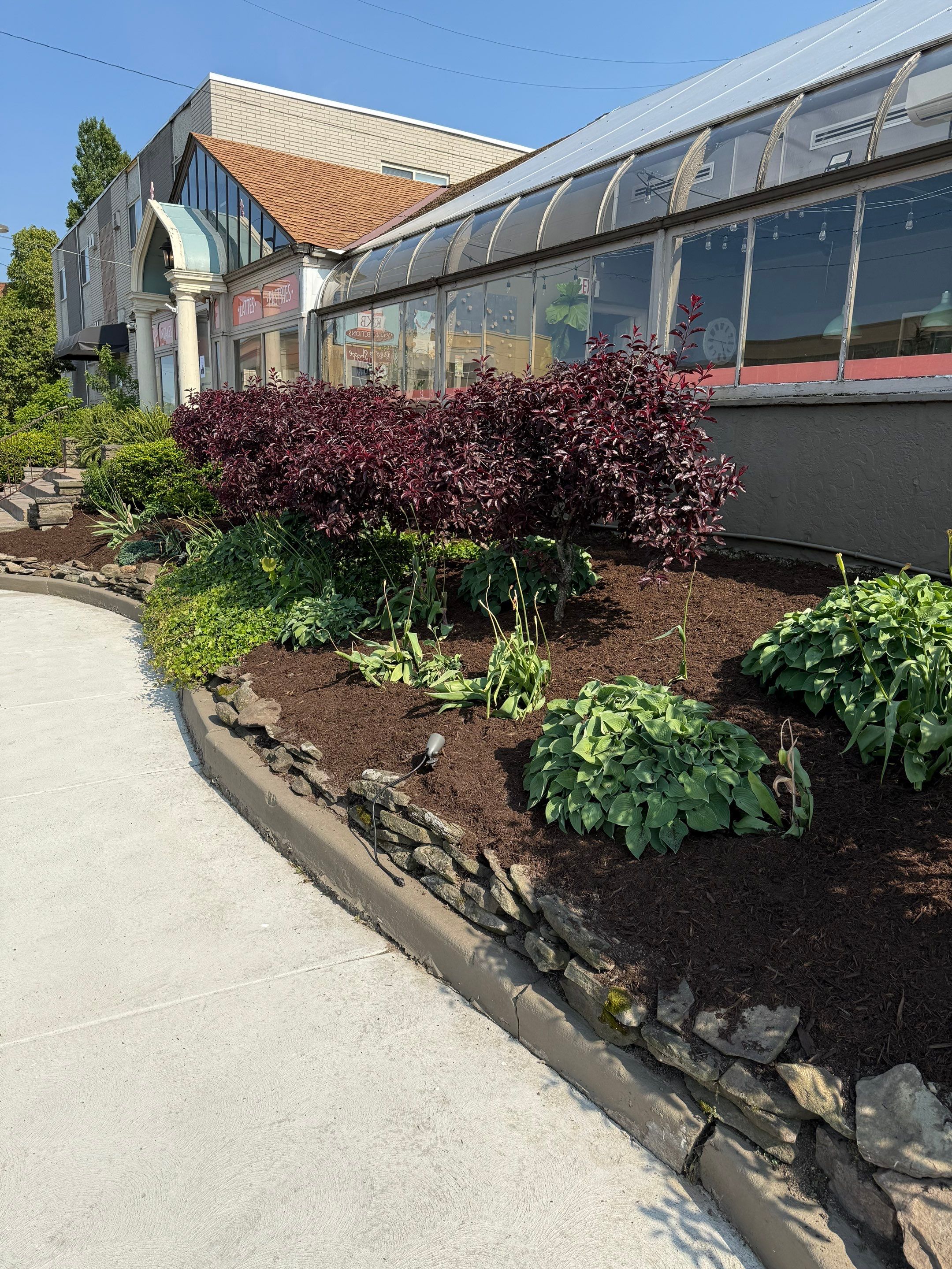 Bakery Commercial Install by Elm Rose Gardens
