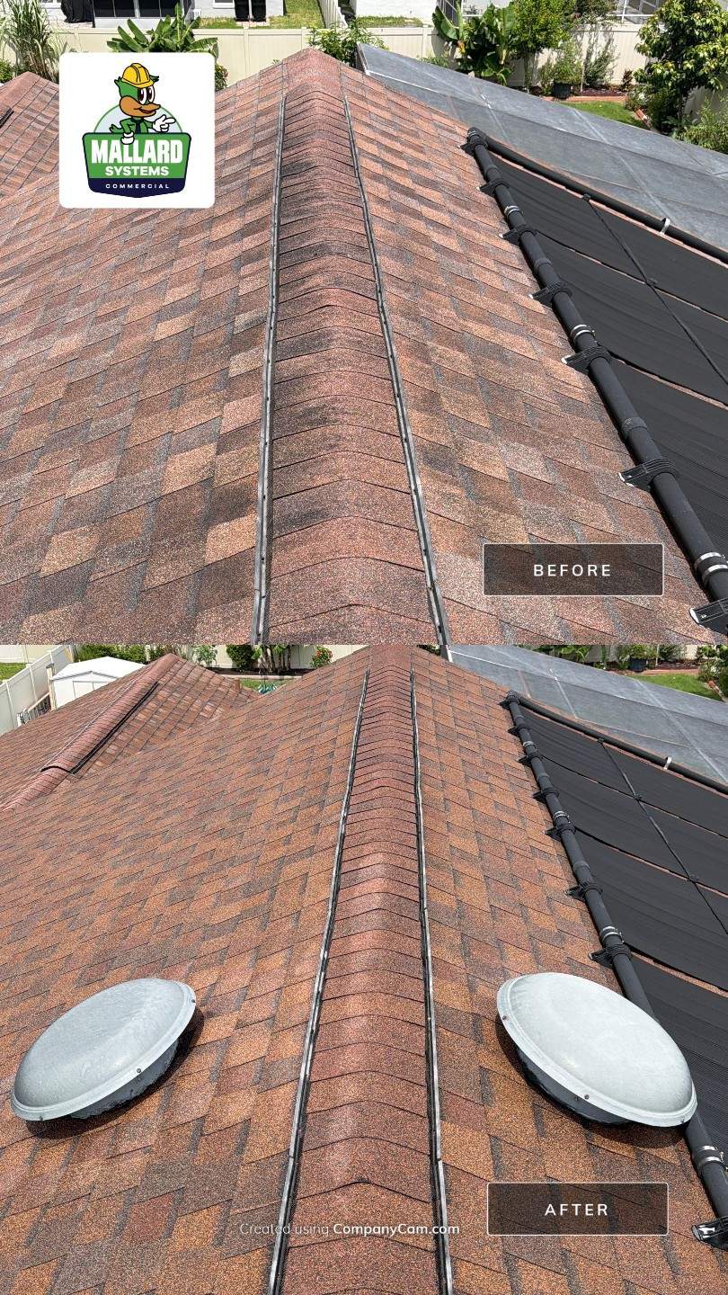 Shingle Roof Cleaning in Hunters Creek Orlando by Mallard Systems