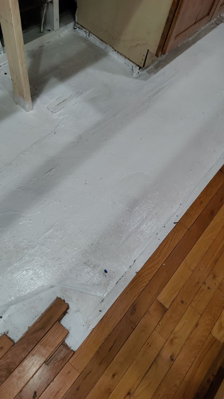 Mold Damage by Accountable Home Services