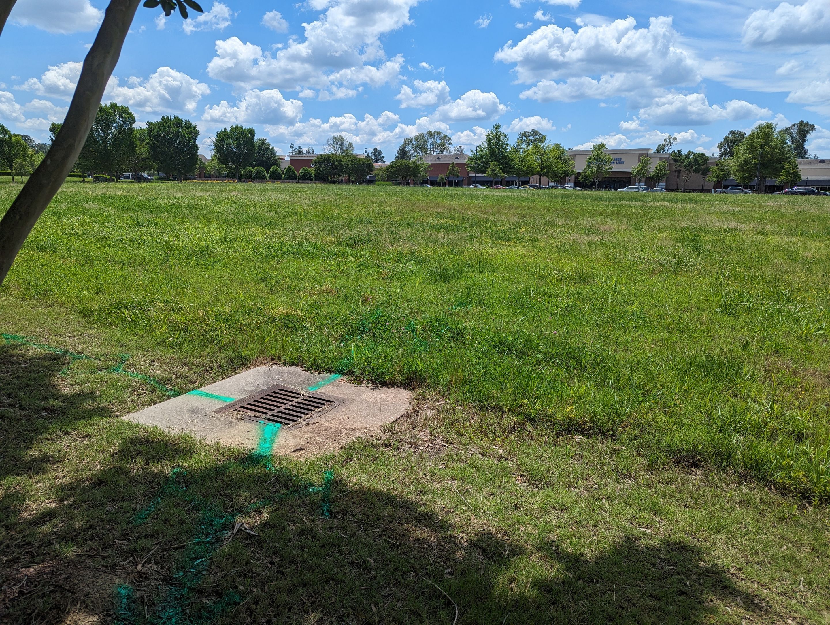 Utility Surveying by Alsip Locating Service, LLC