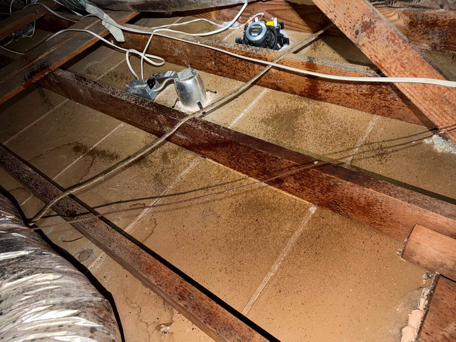 Project in Anaheim by Advanced Attic Solutions