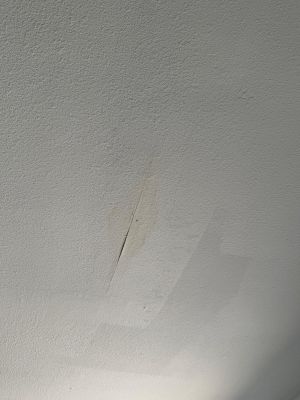 Project in St. Petersburg