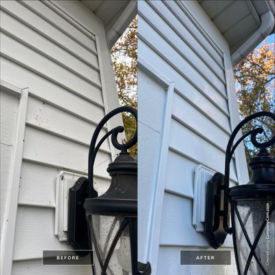 Project in Lake in the Hills