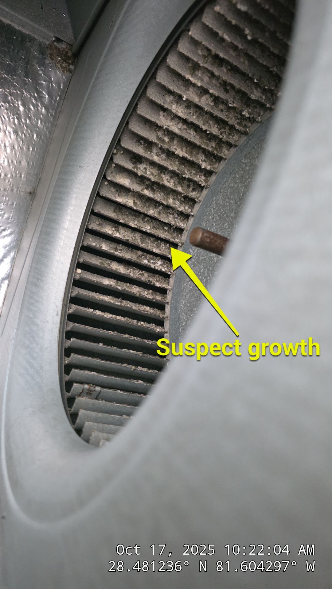 AIr Duct and Dryer Vent Cleaning in WInter Garden by Hygienic Air, Inc