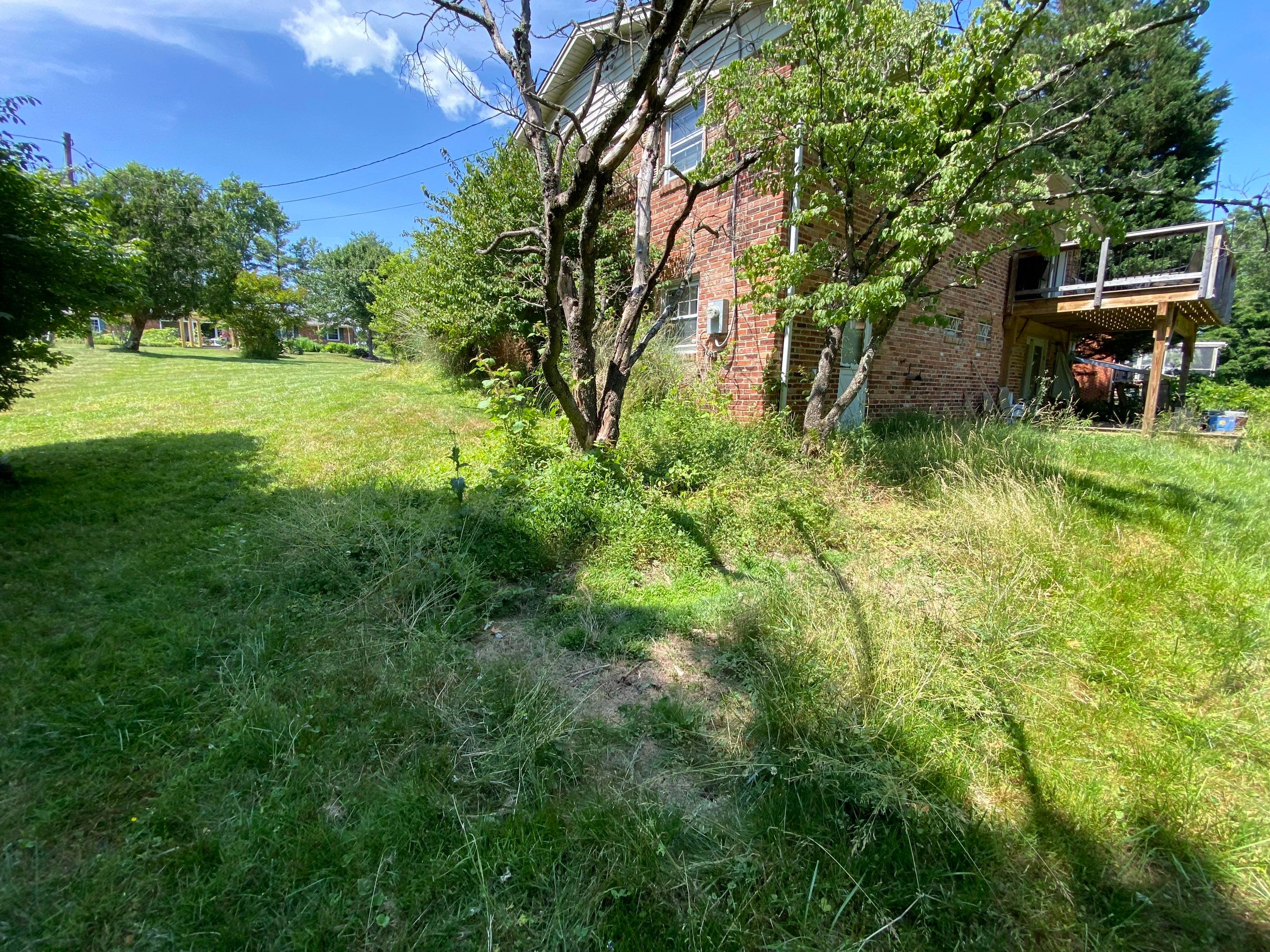 Landscape cleanup by The Smet Companies, LLC