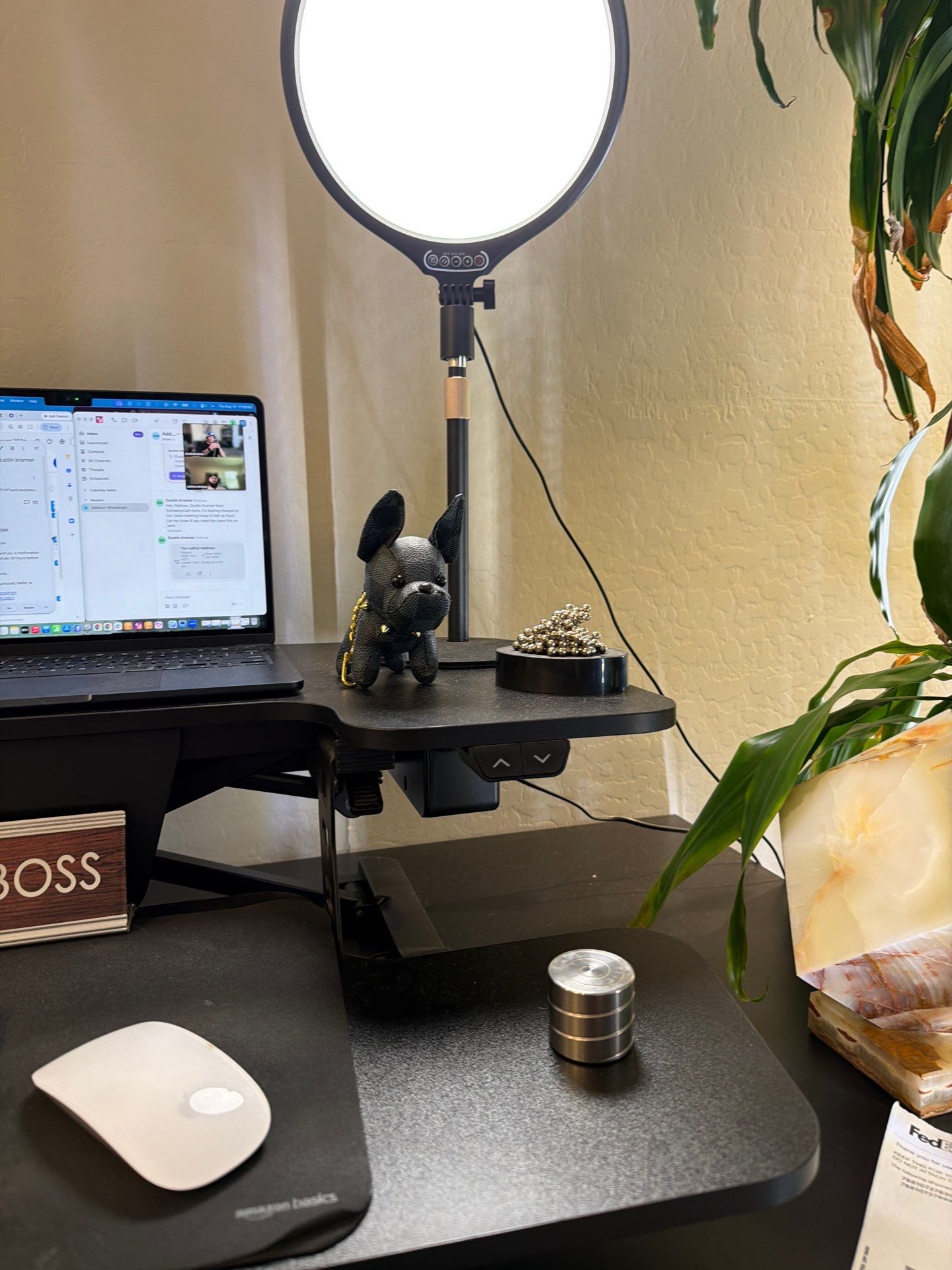 Professional Home Office Setup and Indoor Plant Arrangement in Phoenix by CompanyCam Sales Demo