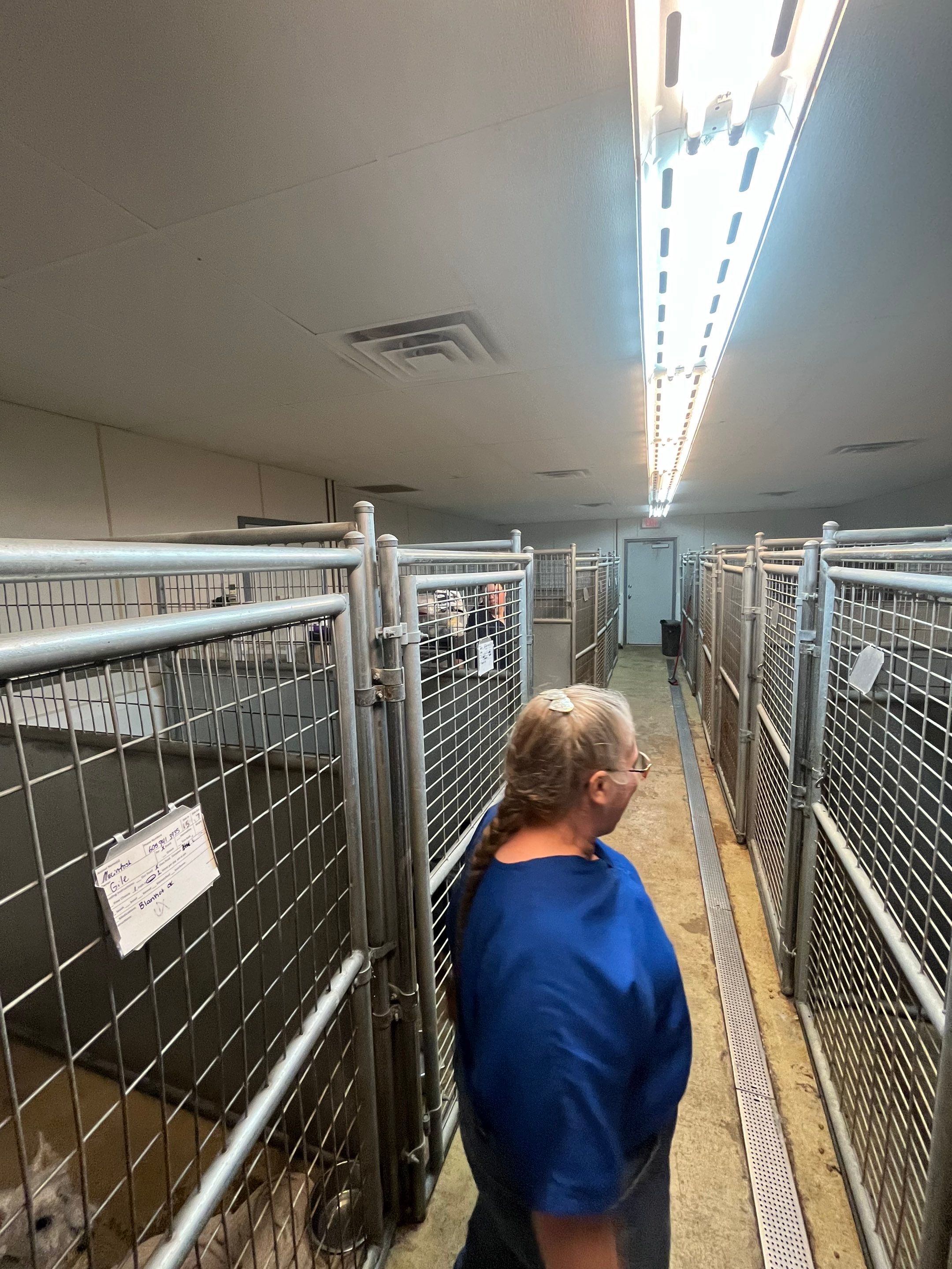 Durable Commercial Concrete Coatings for Brandon Valley Veterinary Clinic by Select Painting, Coatings & Garage Cabinets