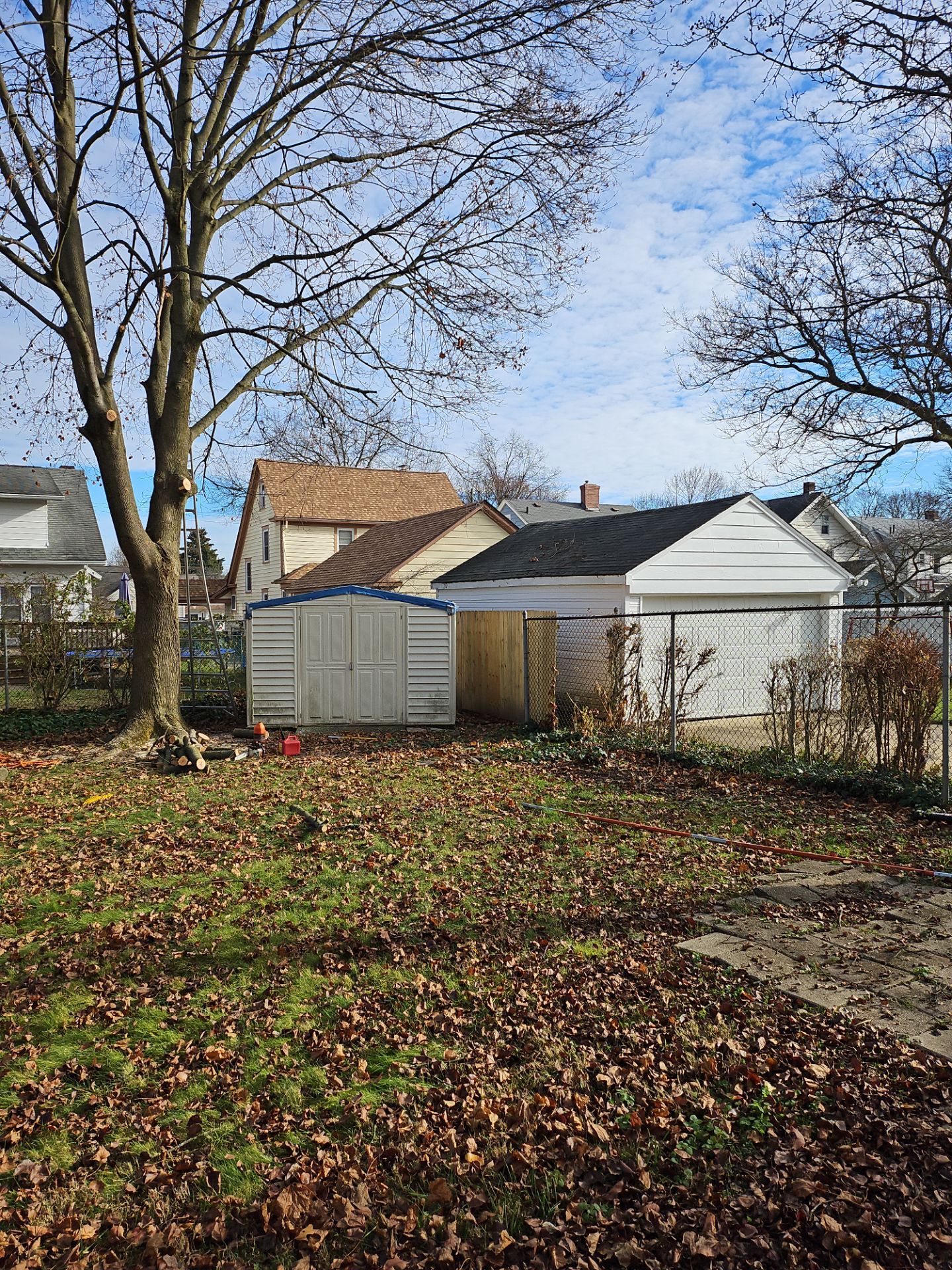 Tree Trimming using Tree Pruing by Mike Jones & Sons Tree Service LLC 