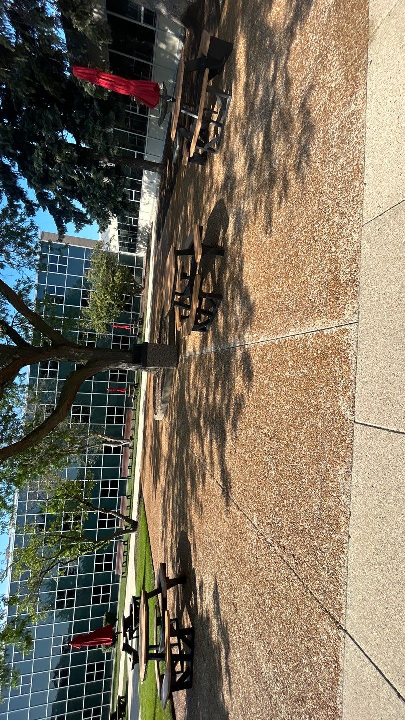 concrete using Algaecide, soft wash soap by Northern Power Washing LLC.