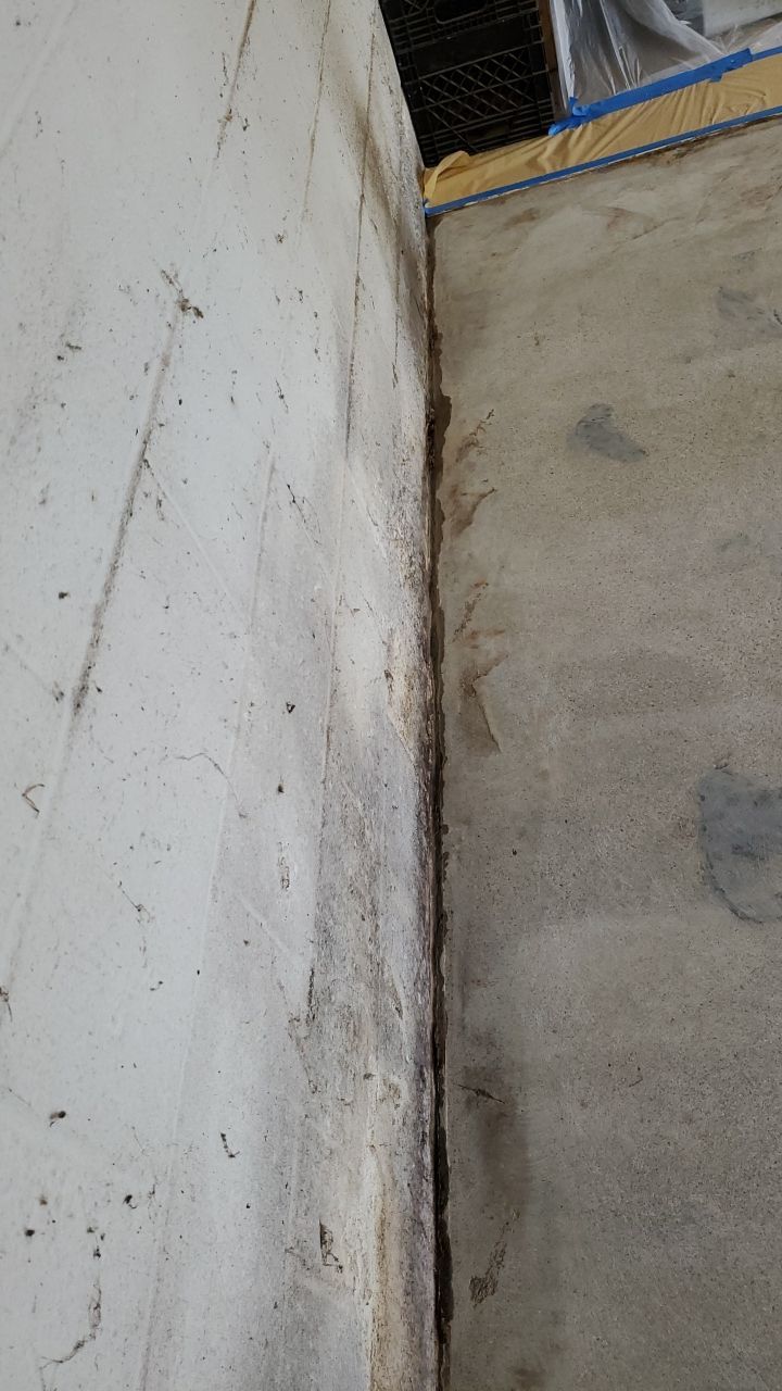 Garage Floor In Mt. Everest by Spectrum Painting, LLC