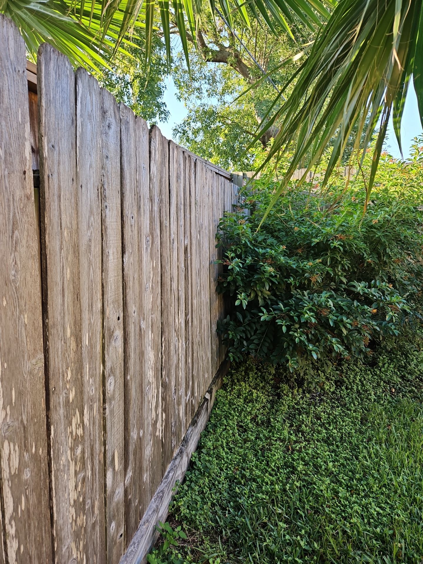 Poolside Perfection by Tim's Fences