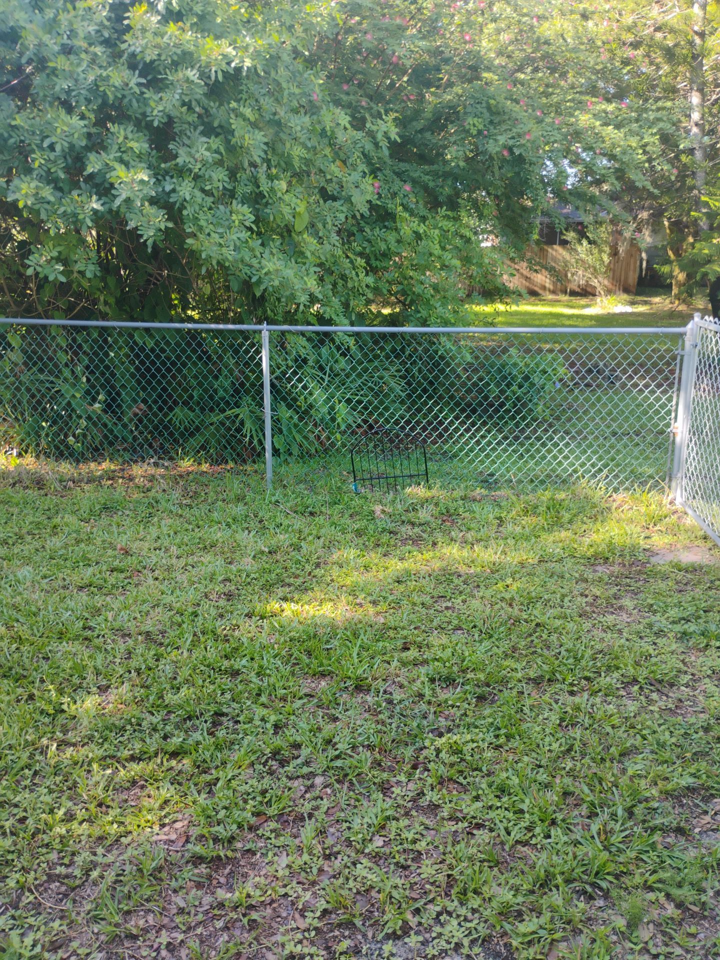 Green Vinyl-Coated Chain Link Fence Installation in North Port by True Fence LLC