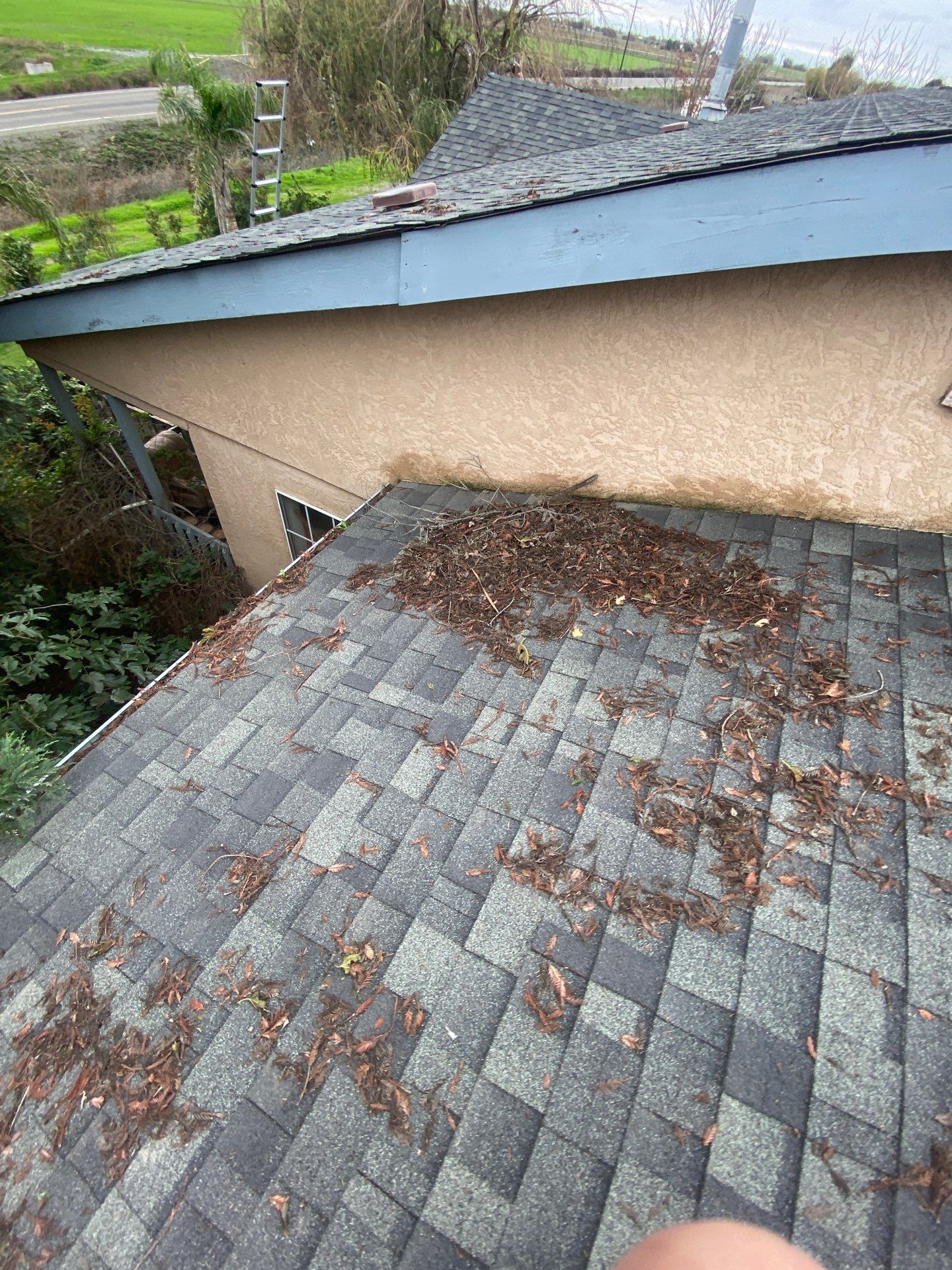 Roof Rejuvenation using Roof Maxx Treatment by Roof Maxx of Folsom