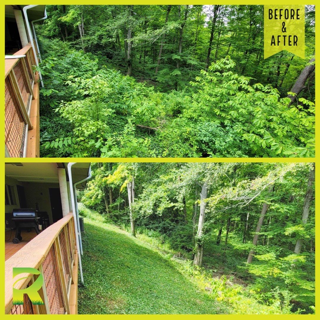 Land Clearing Behind House and Deck by Reisenberg’s Lawn & Landscape, LLC