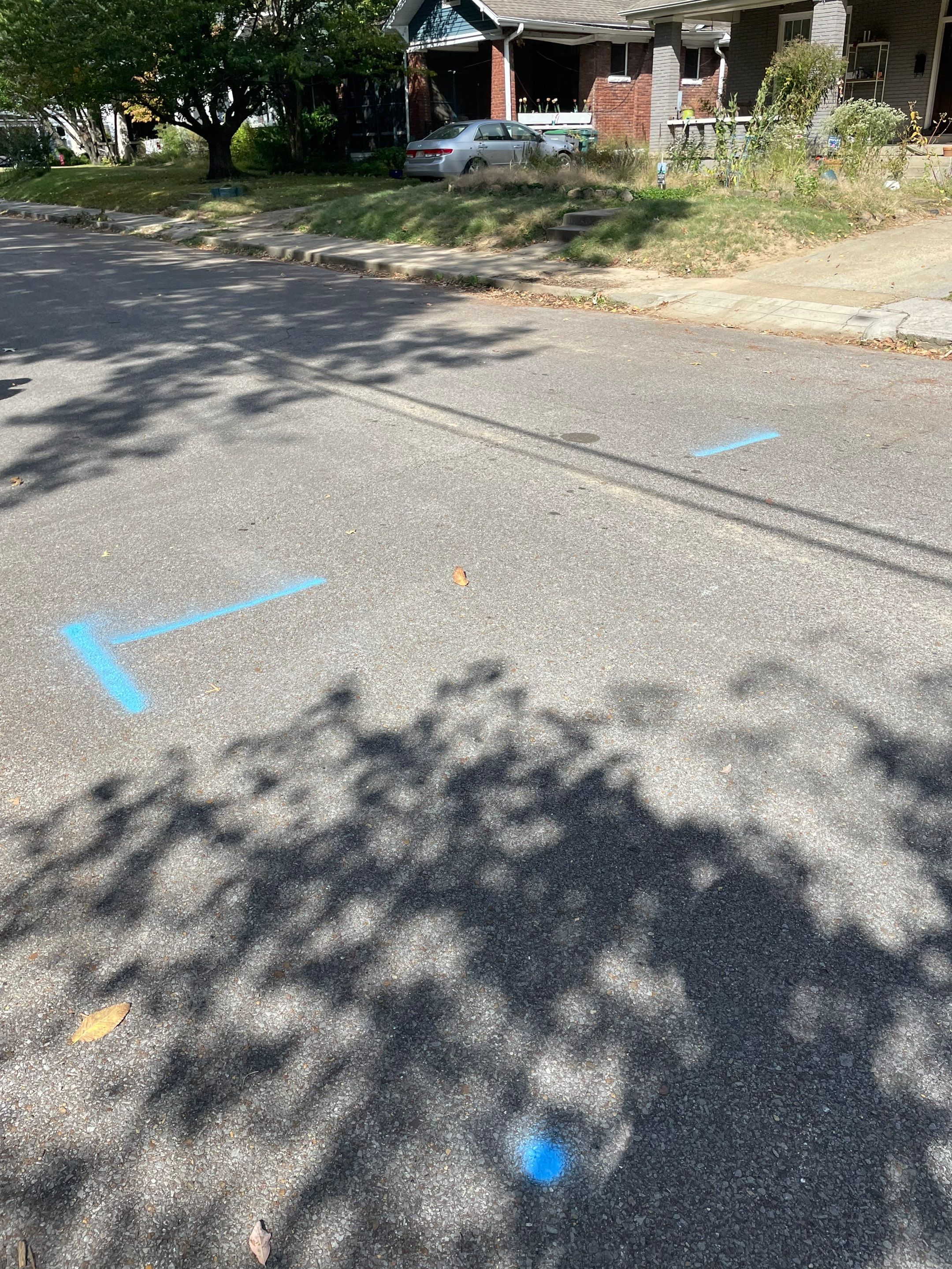 Utility Locate for Survey Purposes by Alsip Locating Service, LLC