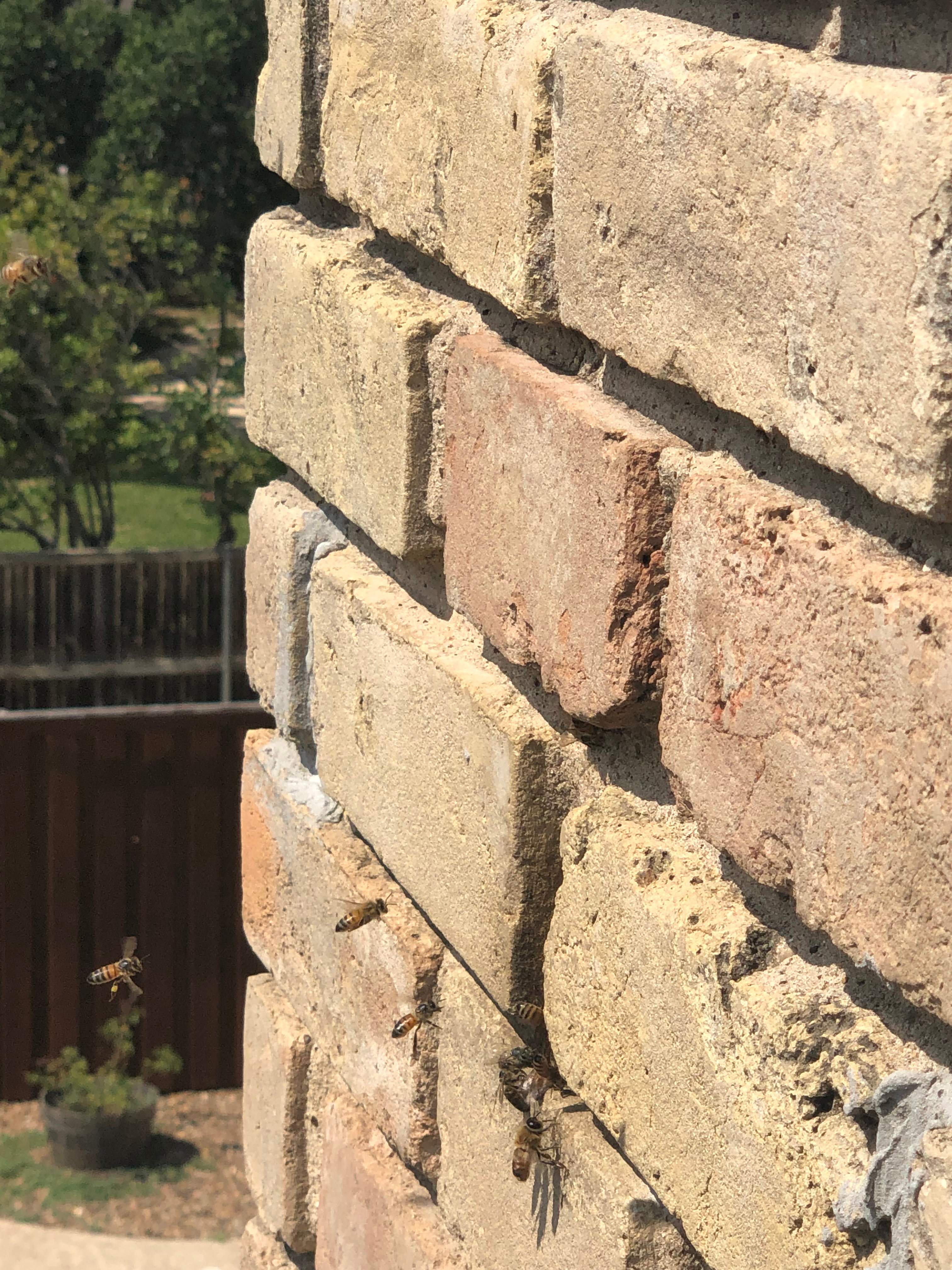 Chimney by Rockwall Honey Bee Company