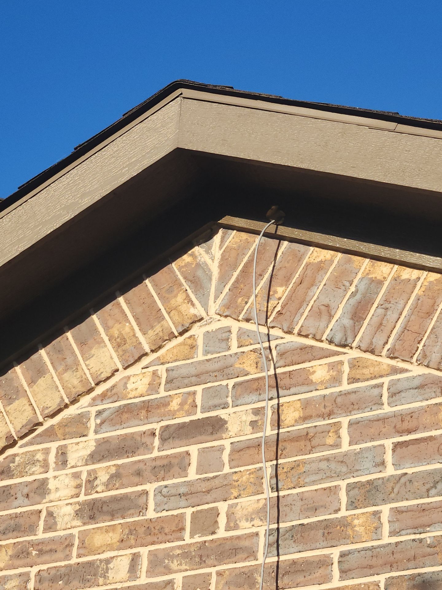 The Tatarin Family by SophAlx LLC