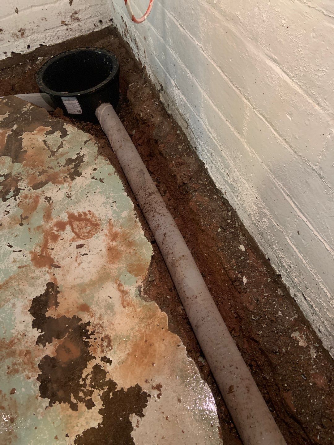 Helping Diane Protect Her Home by Waterproofing Northeast