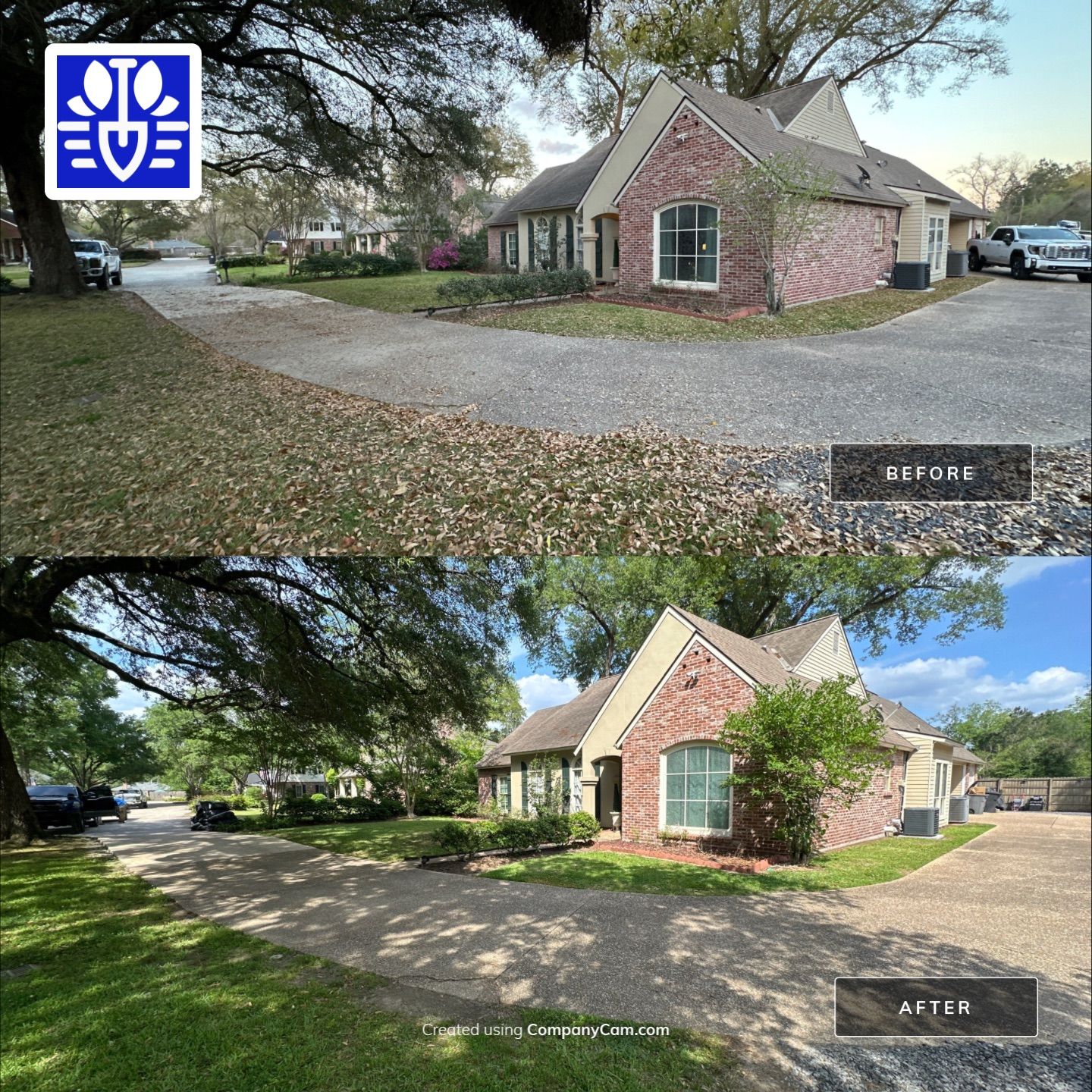 WINTER SERVICES: FULL LEAF JOB by CutScape, LLC.