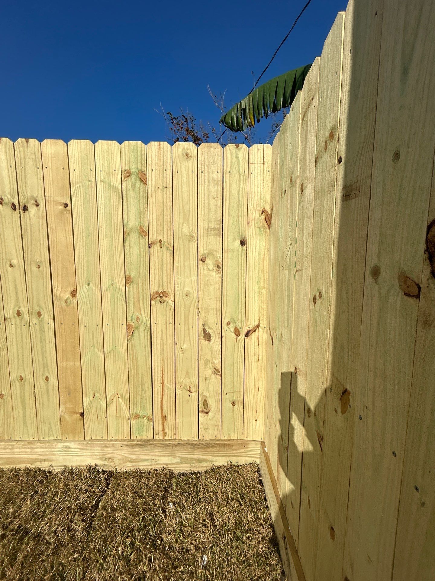 🌟 Mr. & Mrs. Tesla’s Complete Outdoor Makeover by Texas Urban Elements