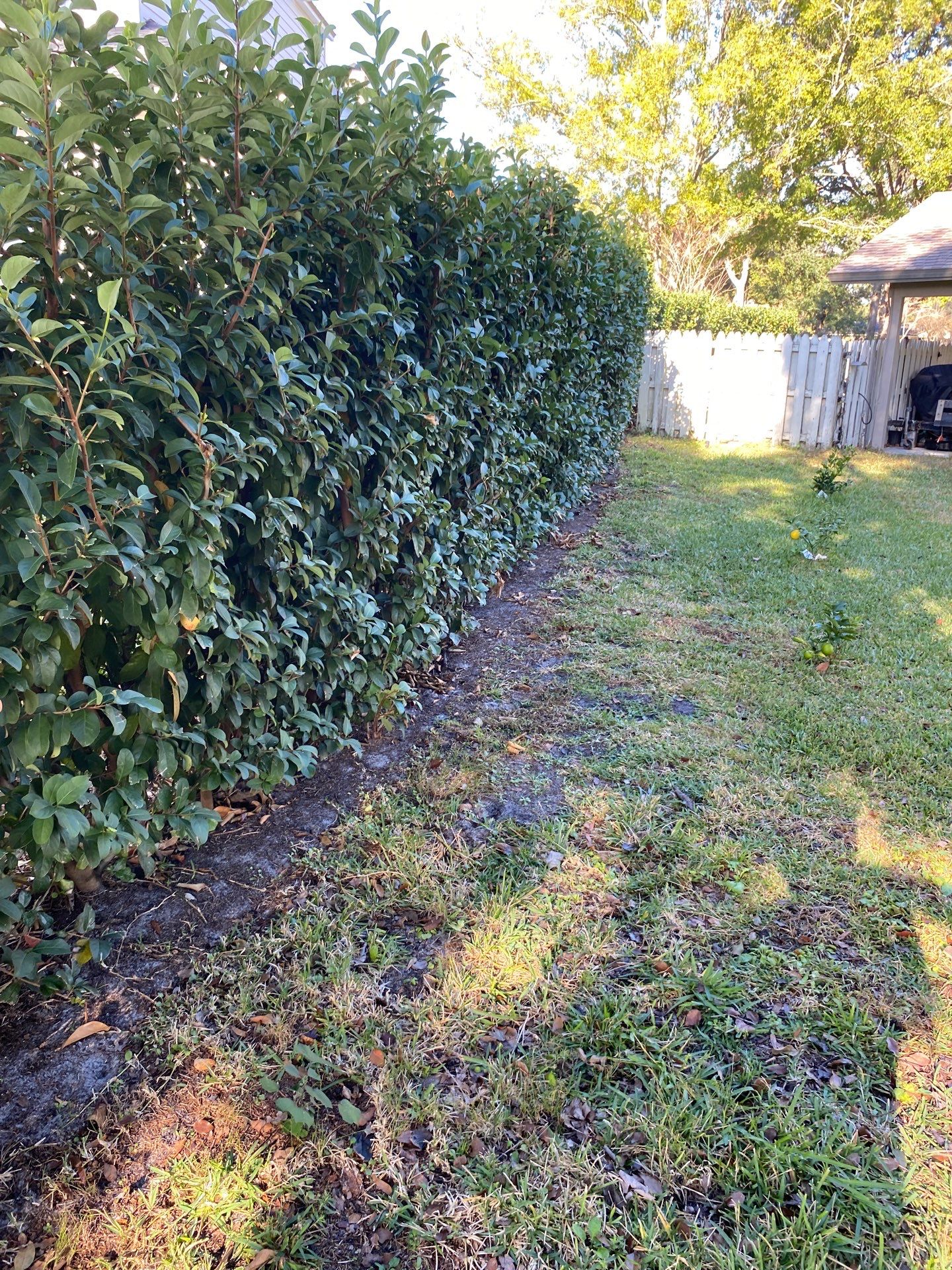 Deerwood Resident | Mulch Freshen Up Project by ProGreen Services