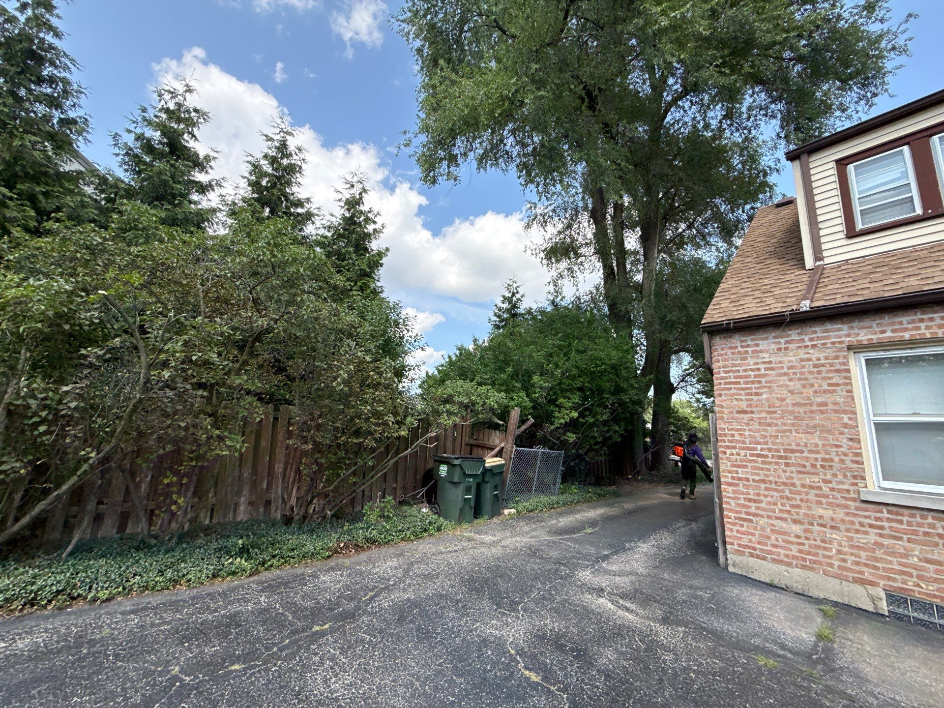 Sean D. - Arlington Heights, IL by A&N