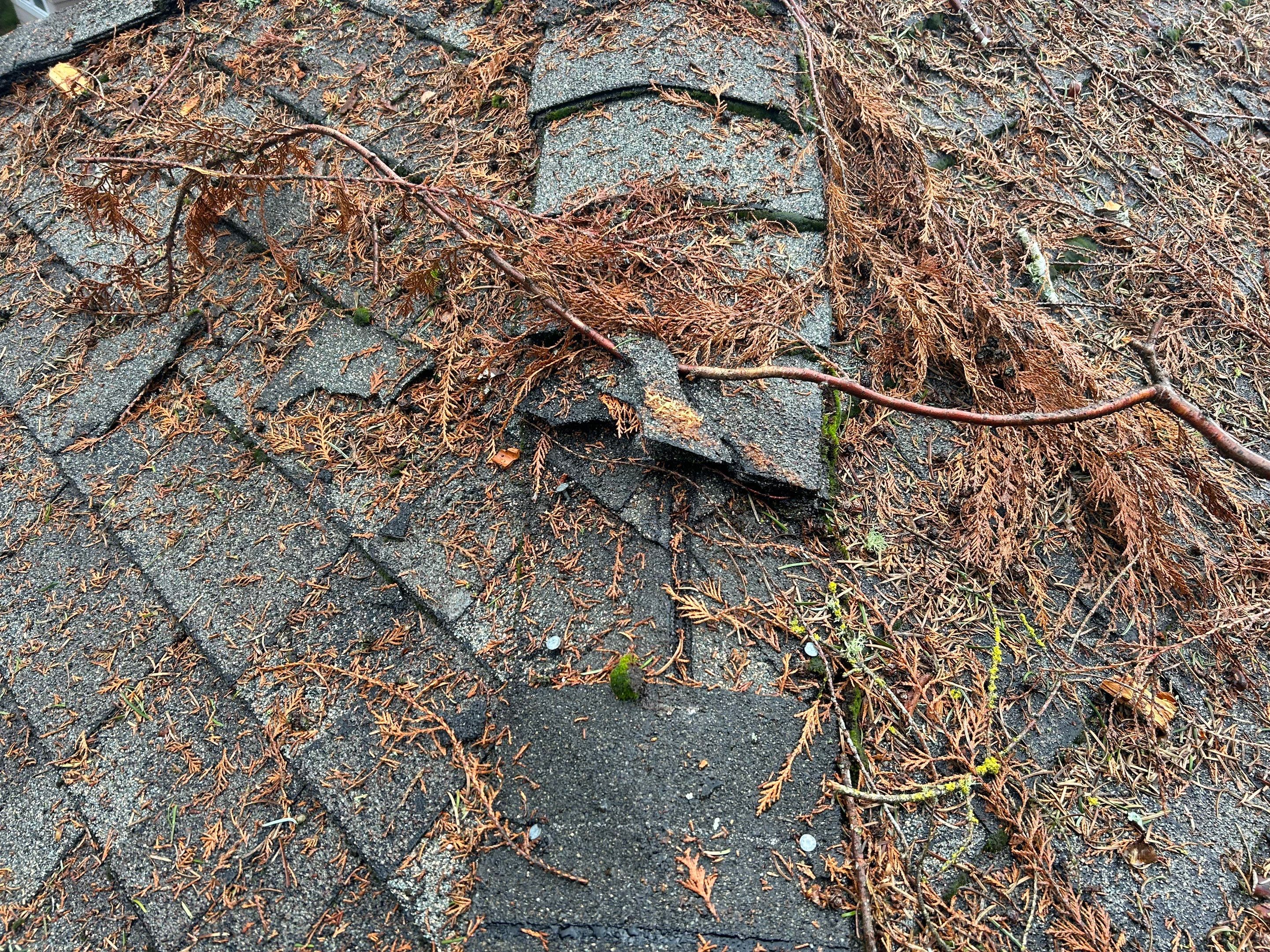 Roof Replacement in Hillsboro by Prodigy Roof Solutions