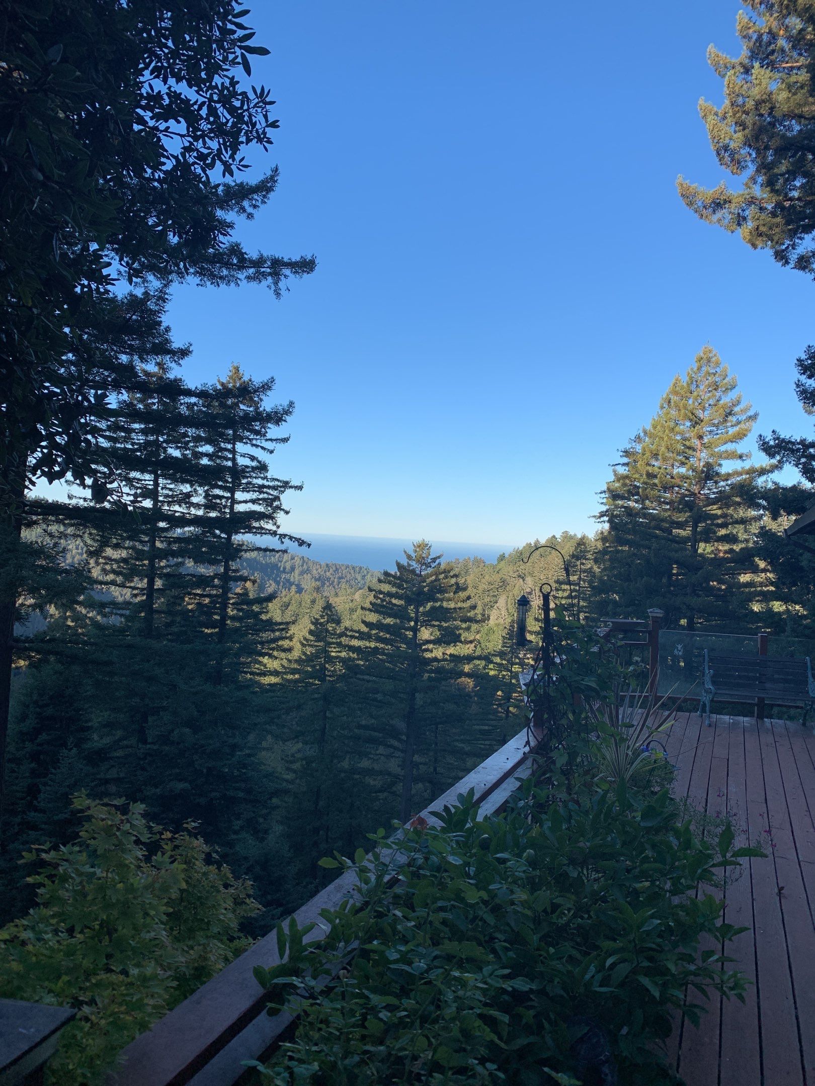 Thomas Barry’s Home by SpotFree Window Cleaning