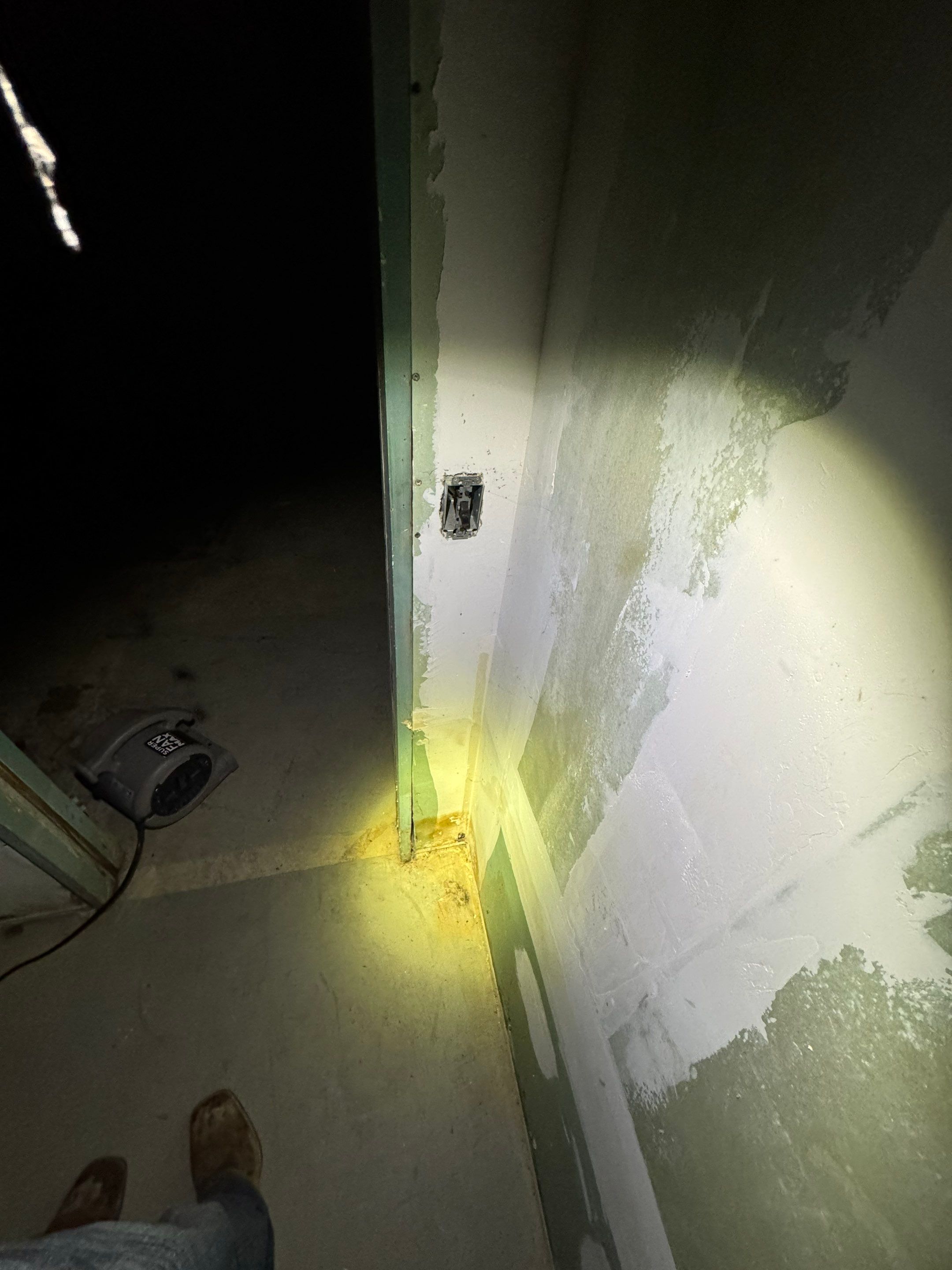Basement Mold Remediation by Home Guarantee, LLC