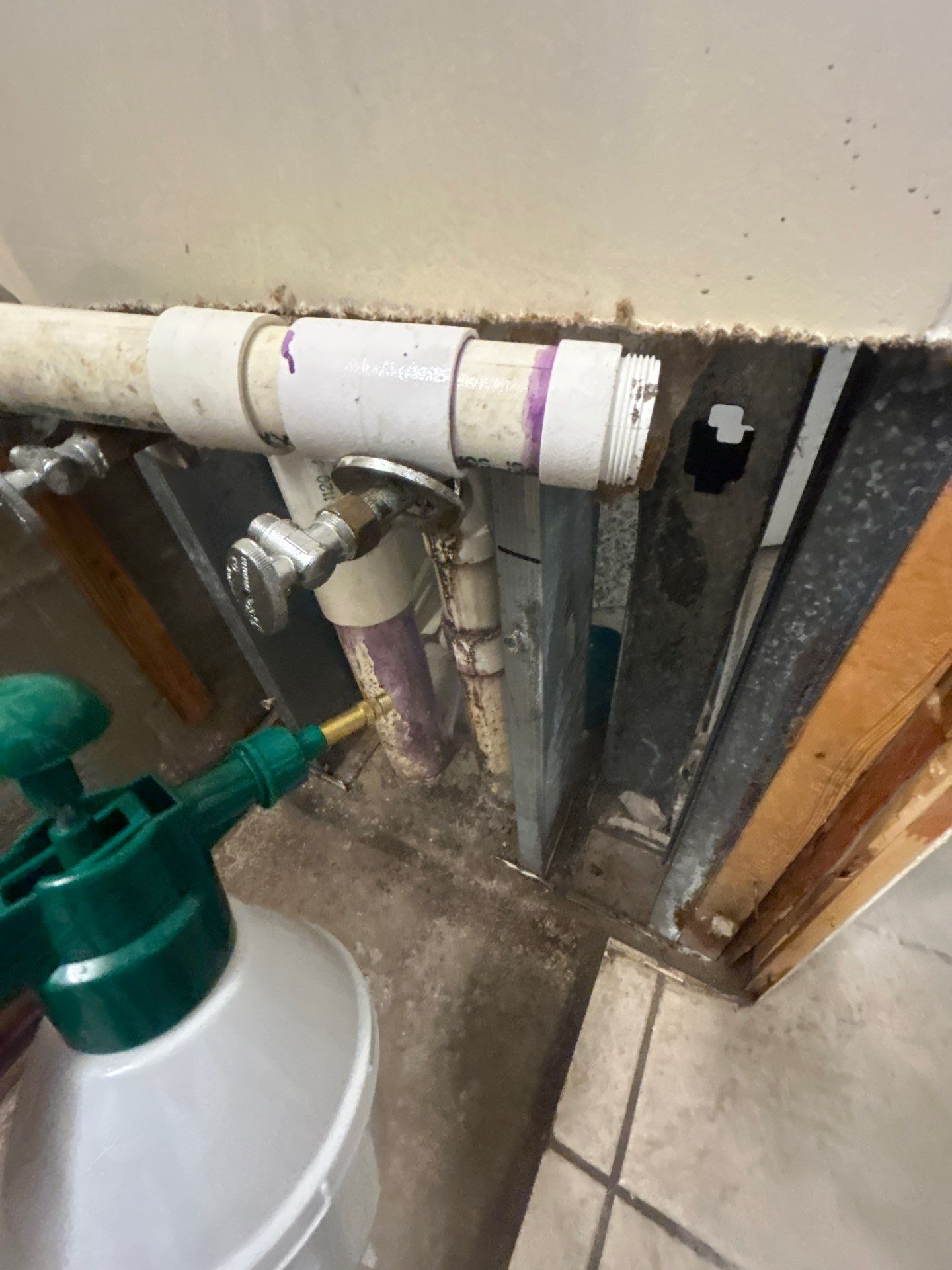 Mold Restoration In Bradenton by Ampm Restoration Services