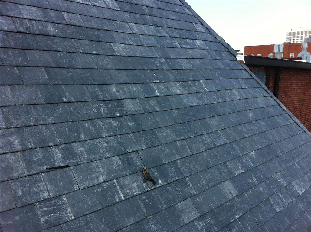 Historic Building ROOF REPLACEMNT with GAF TruSlate  on steep slop and Versico 60mil TPO on flat roof by Gorilla Exteriors Contracting, LLC
