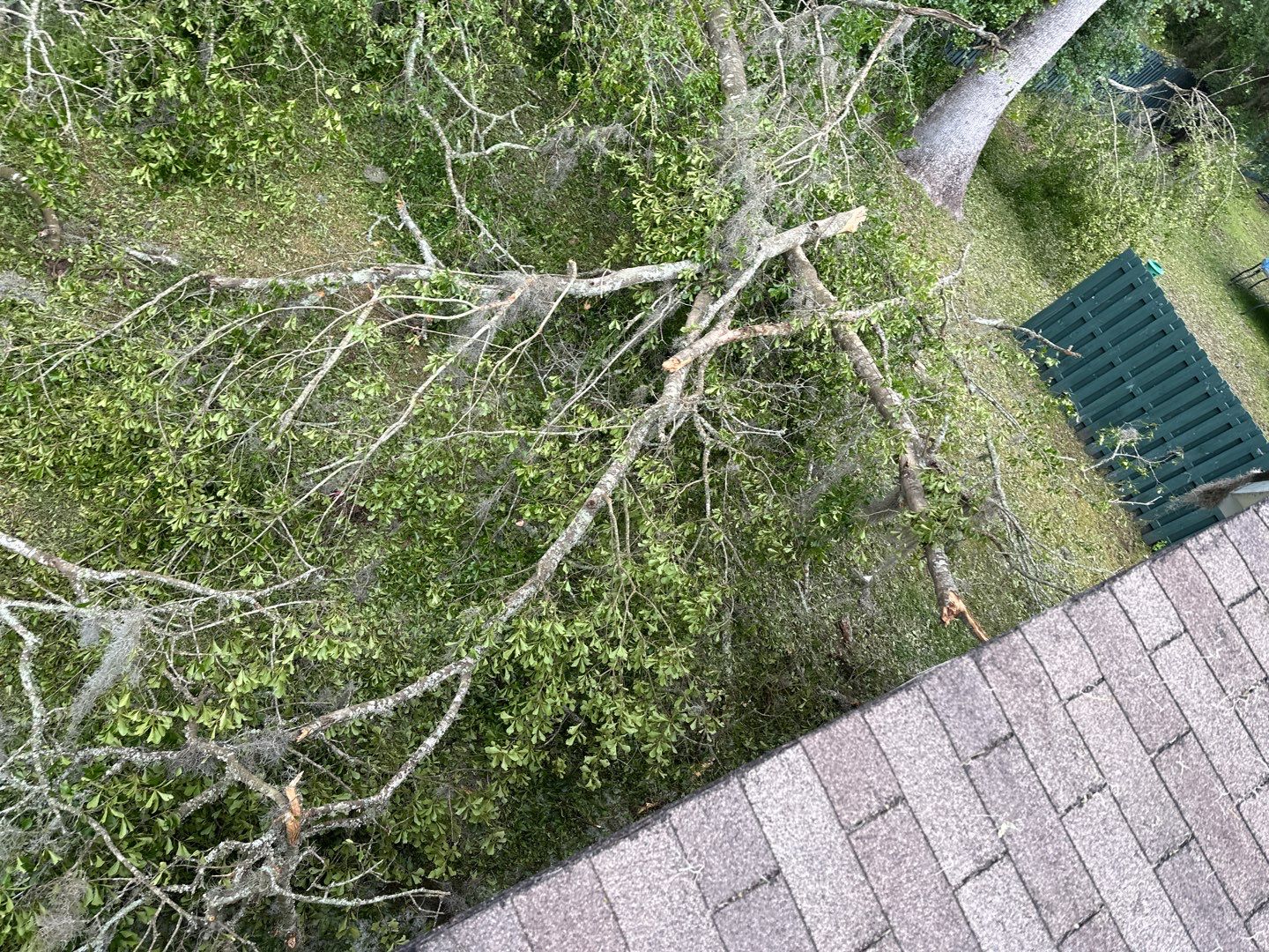 Residential Roofing Installation using Atlas Pinnacle Pristine Black Shadow by Talya Roofing