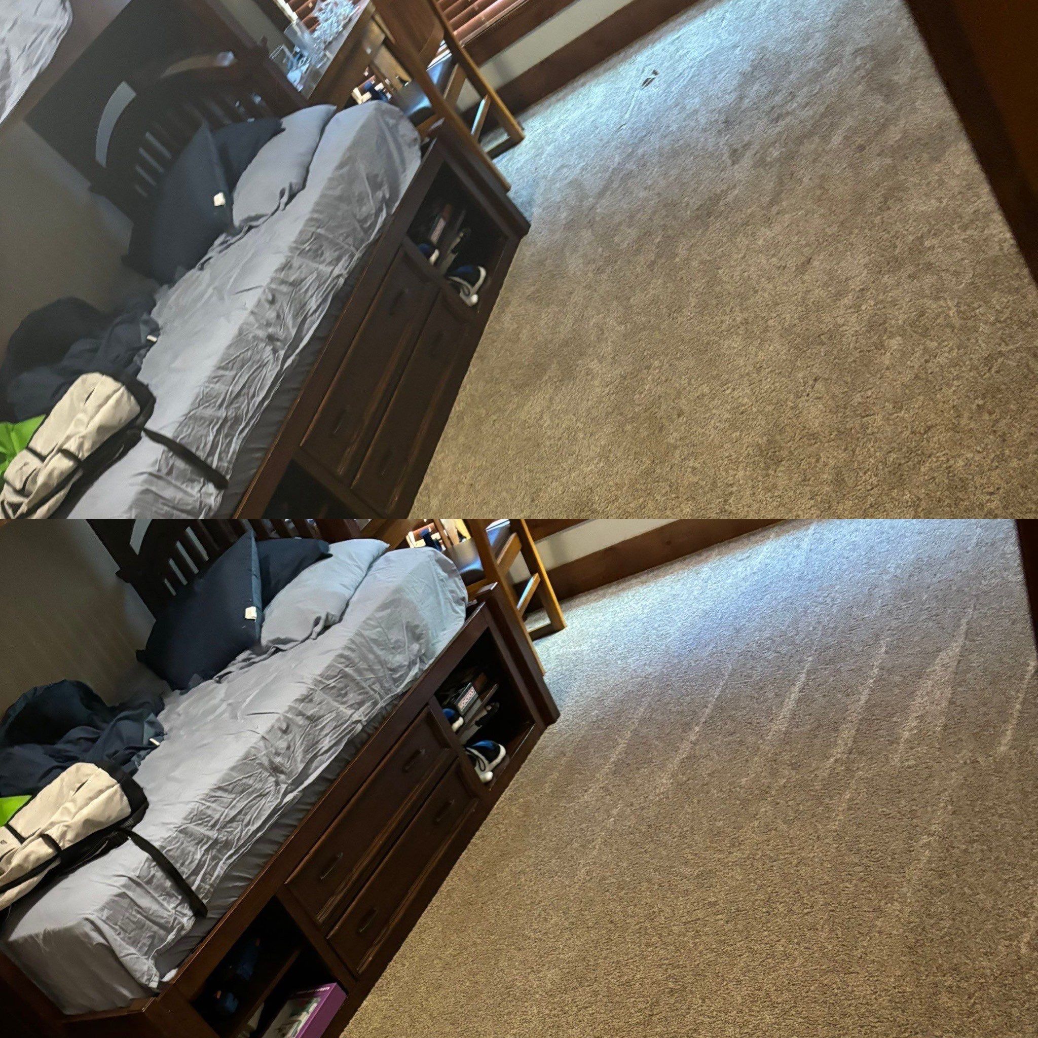 the service shown is deep carpet cleaning revealing a clean and refreshed surface with visible cleaning lines