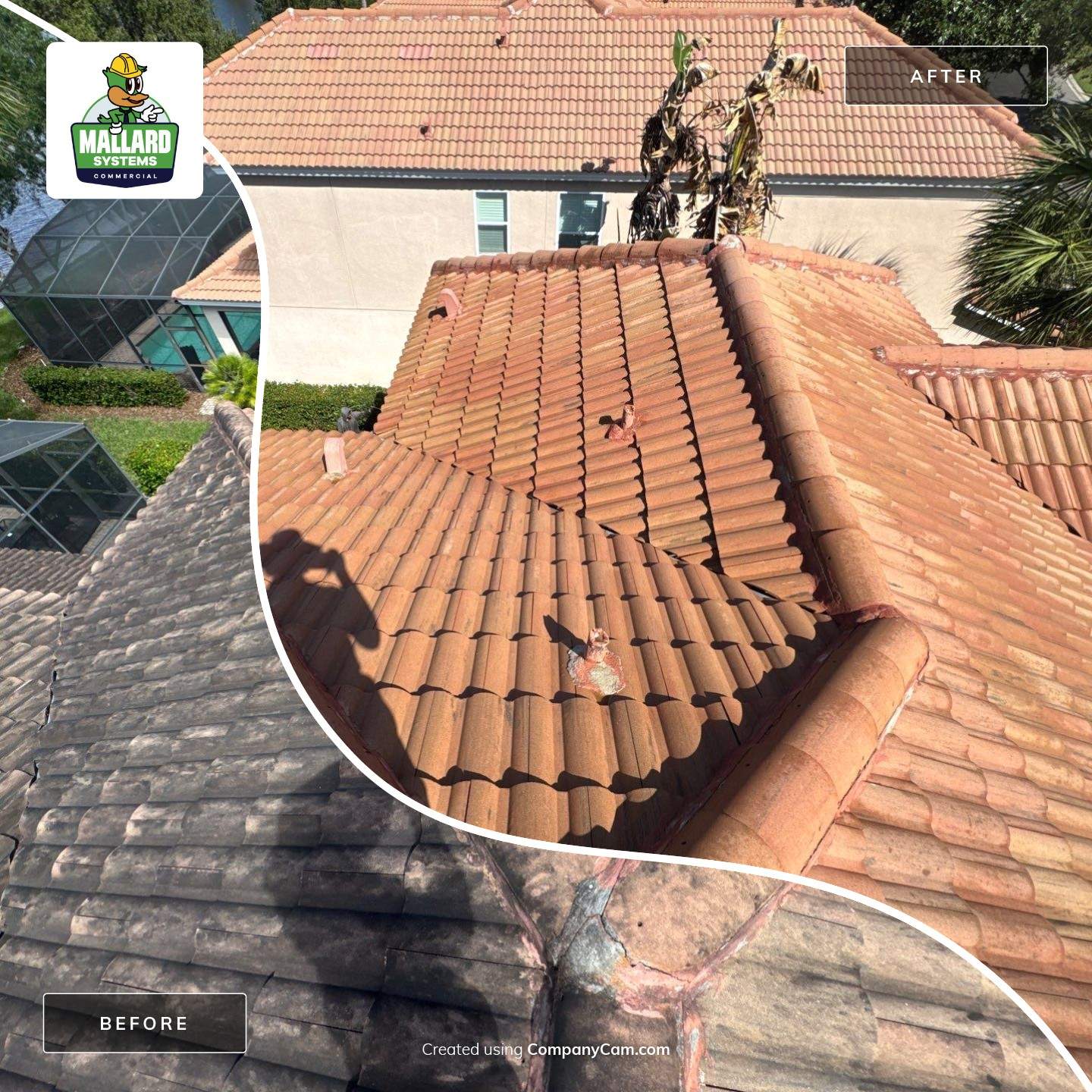Barrel Tile Roof Cleaning by Mallard Systems