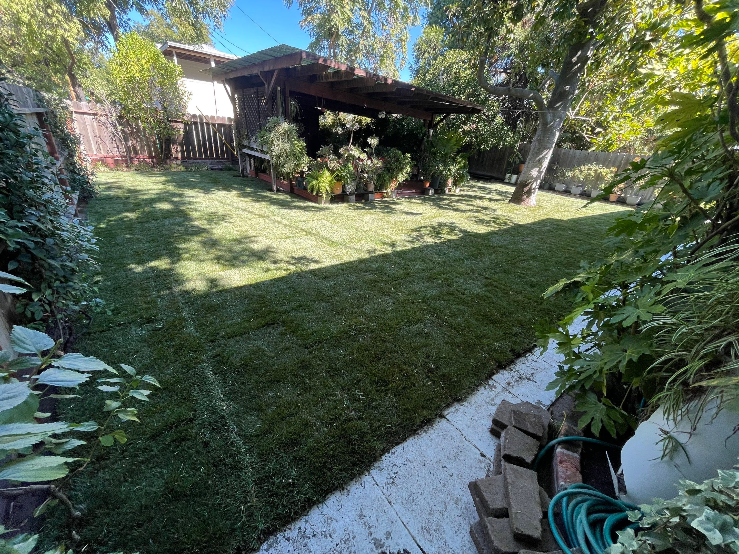Project in Stockton by A - G Sod Farms