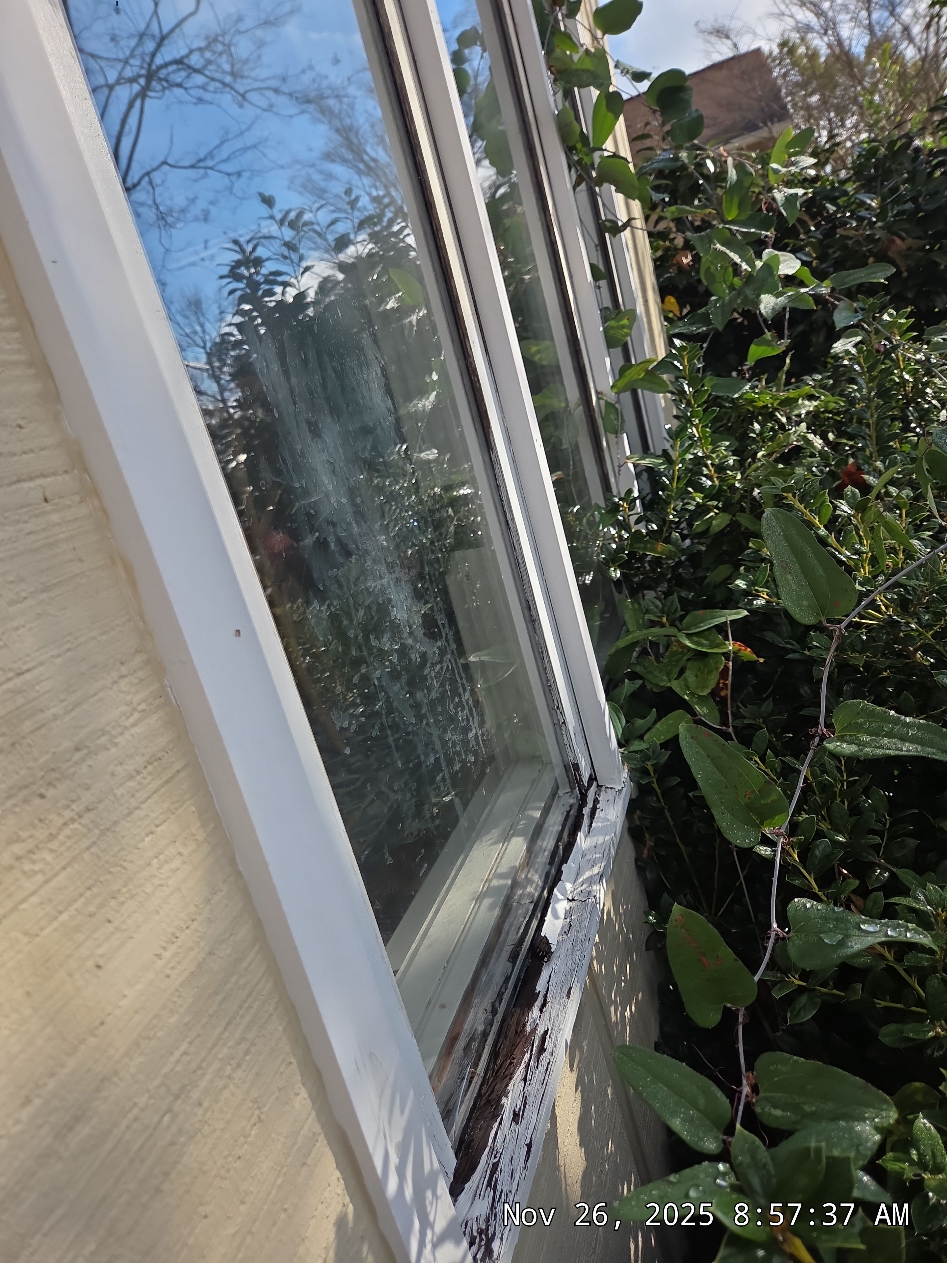 Clark Project in Hoover by The Window Source