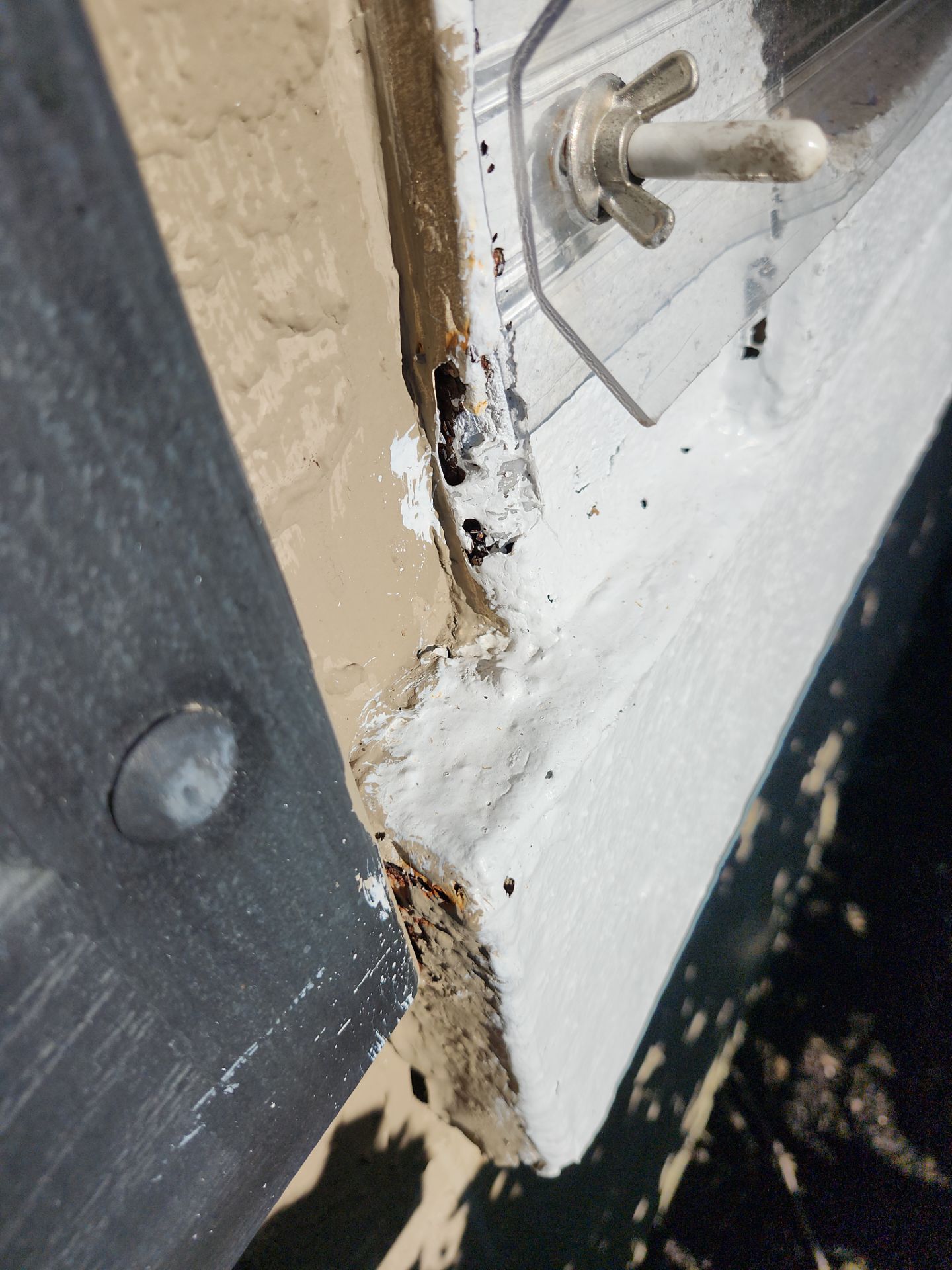 Project in Lakewood Ranch by Sunbelt Home Solutions